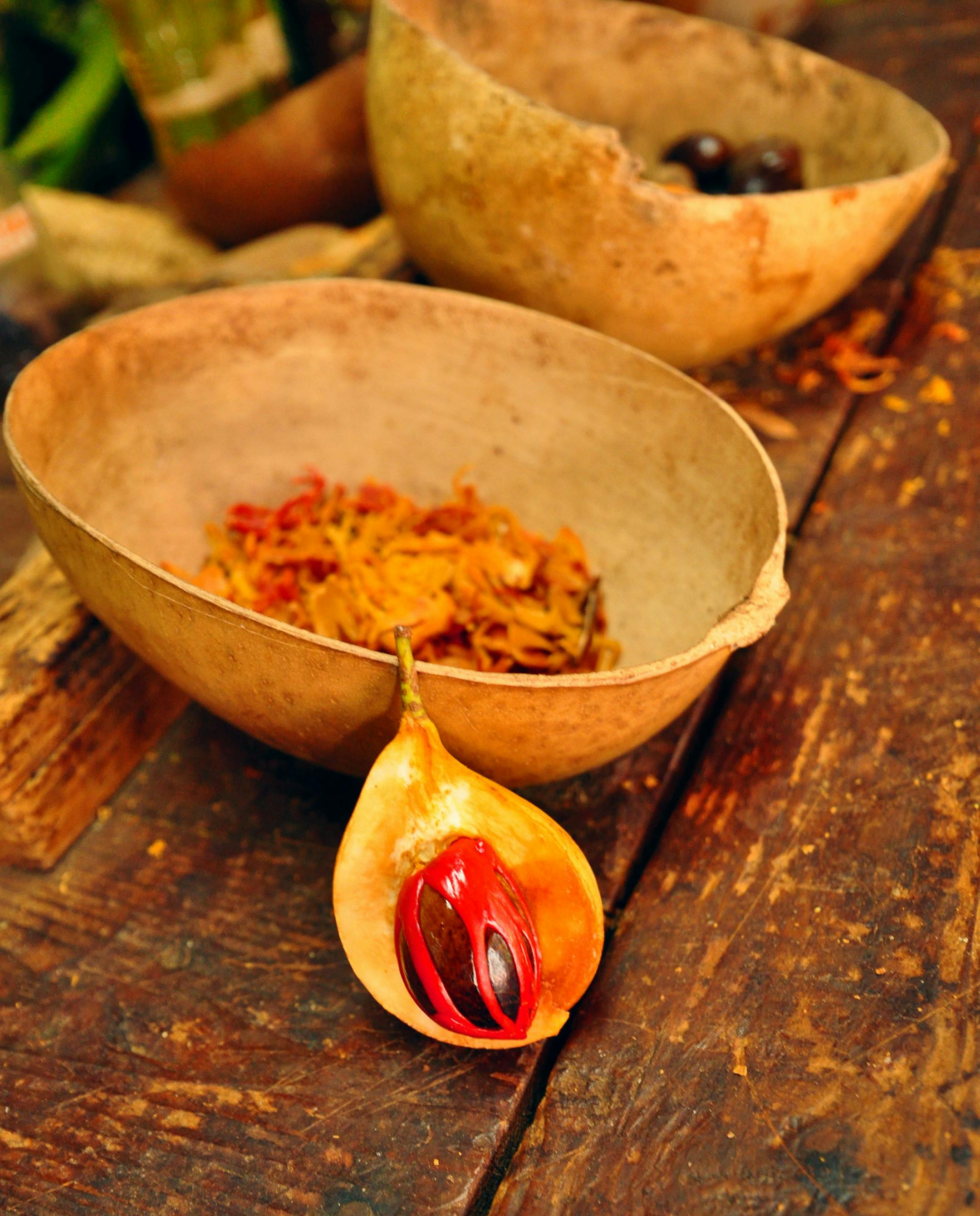 At the Dougaldston Estate spice plantation guides crack open nutmeg pods to reveal the nut inside wrapped in red plant material that becomes processed as mace. (Katherine Rodeghier/Chicago Tribune/TNS) ORG XMIT: 1242224