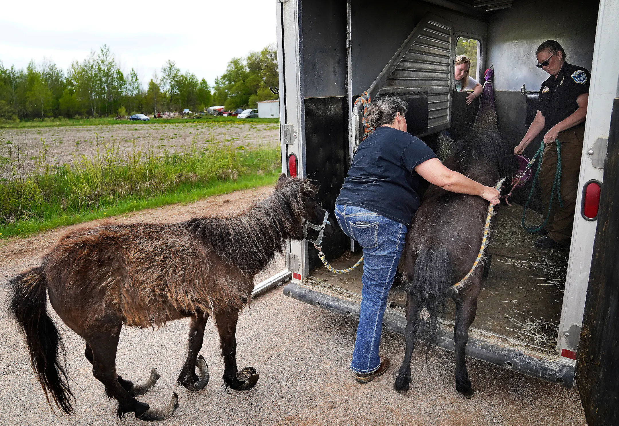 Humane agents rescue Minnesota's maltreated animals, from starving ...