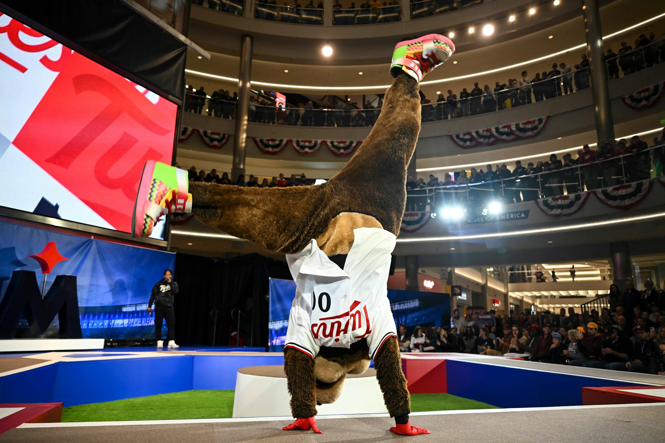 Twins mascot T.C. Bear performs a cartwheel while modeling their new uniform.
