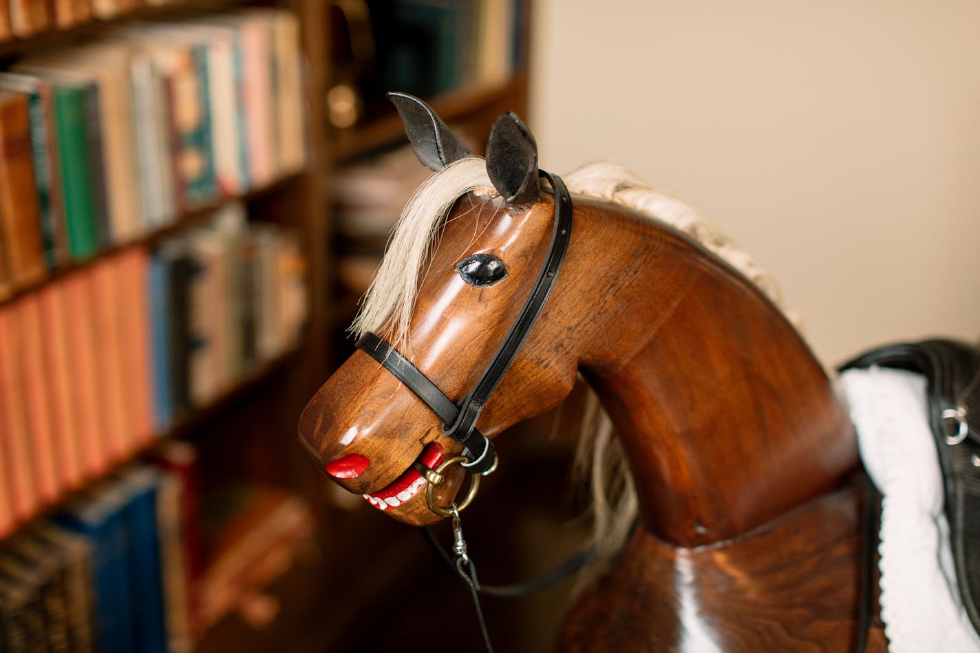 The Mayo family heirlooms include a rocking horse created decades ago by the Mayo family&#x2019;s handyman as a gift to the Mayo children. The horse was among items donated in 2017 to the Clinic by descendants of founder Charles H. Mayo.