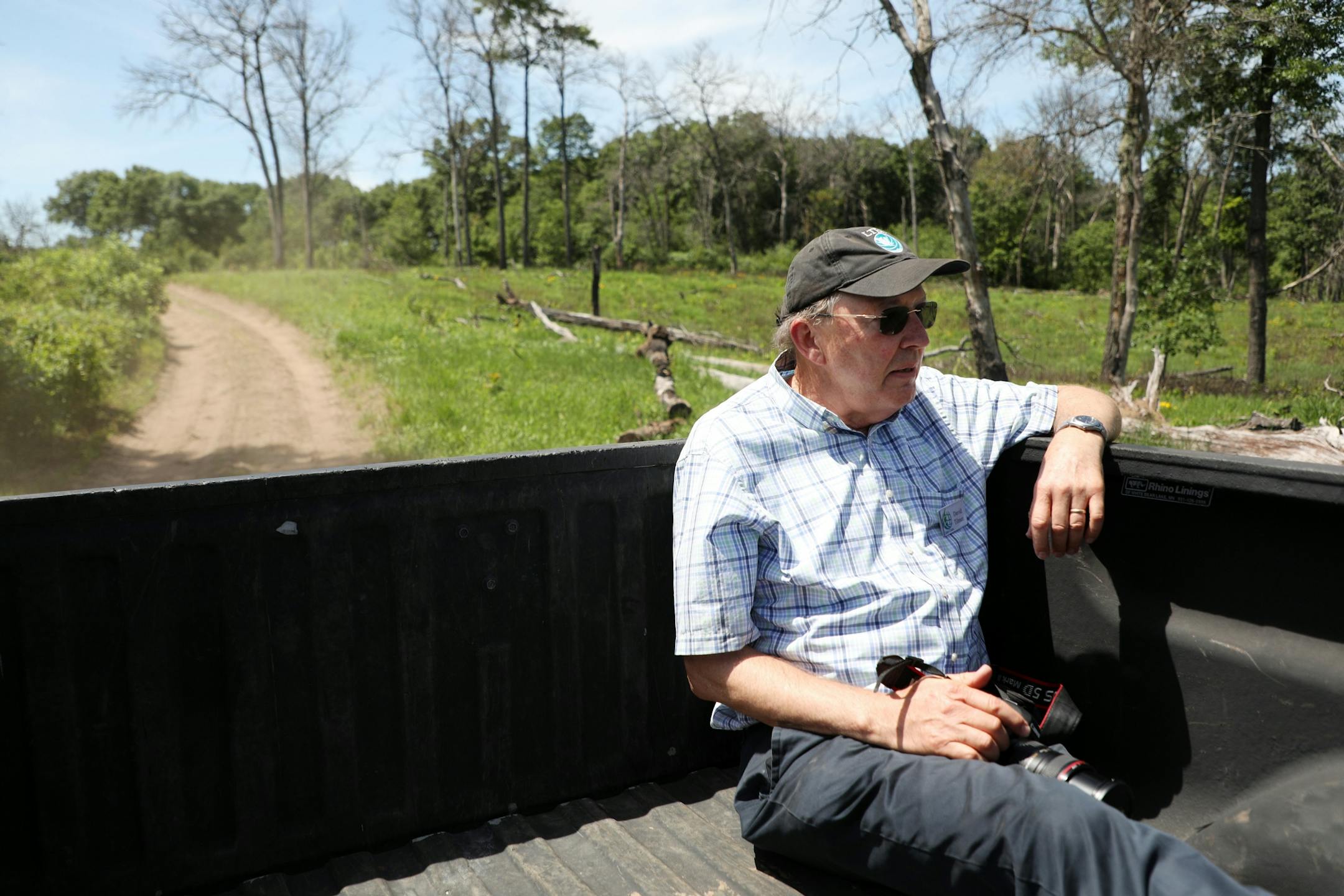 Researcher Dave Tilman rode in the back of a pickup truck with camera in hand into the enclosure for the newly arrived bison from North Star Bison in Wisconsin as he and a fellow researcher went to see how the animals were acclimating to their new home Wednesday at the University of Minnesota's Cedar Creek Ecosystem Science Reserve in East Bethel.