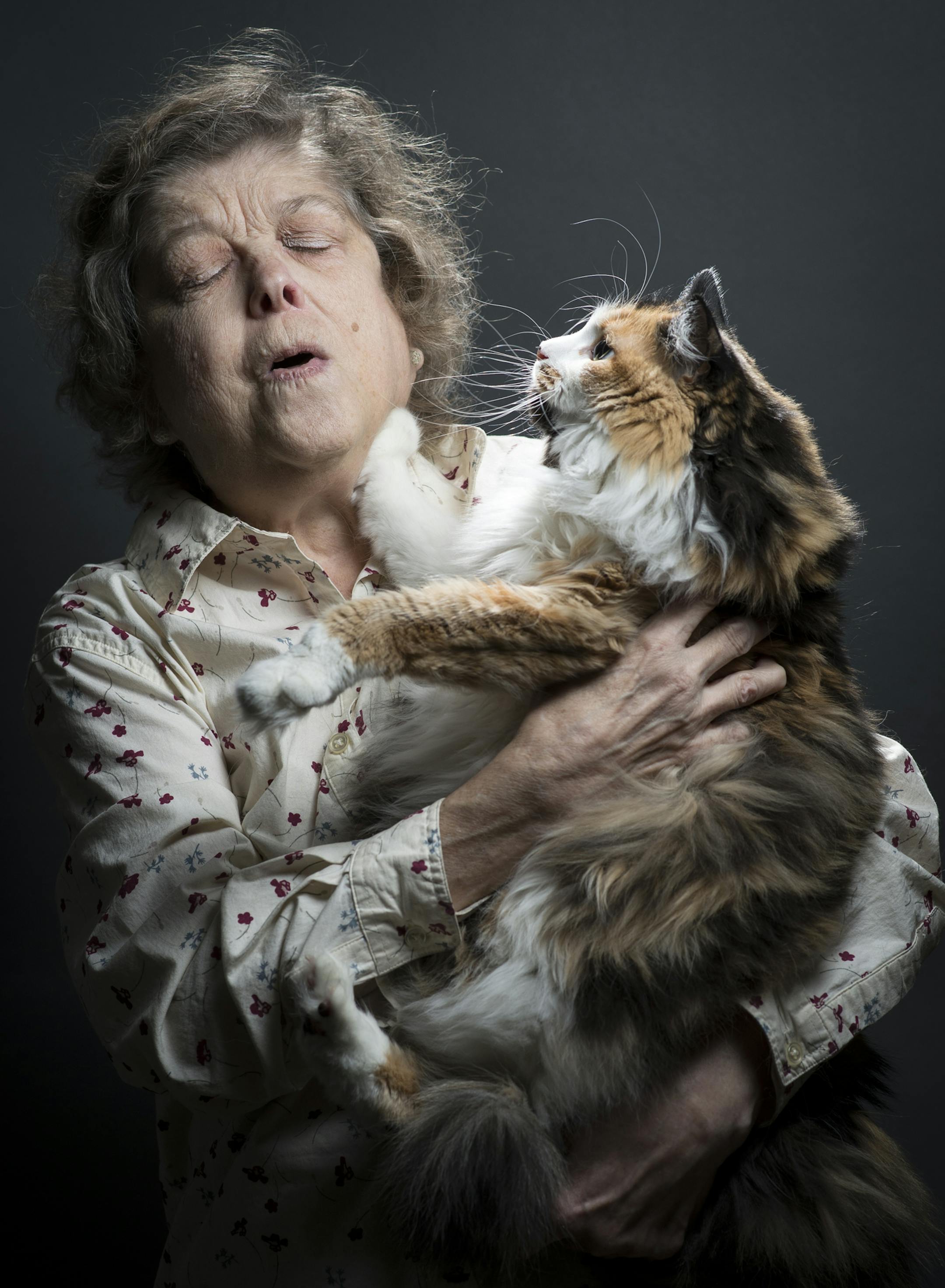 Gypsy Rose, a 7-year-old tortoise-shell and white long-haired show cat, gets frisky with one of her owners, Gayle Long, while having their photo taken Tuesday afternoon. ] (Aaron Lavinsky | StarTribune) Gayle and Dave Long show their two cats, Gypsy Rose and Romeo, for a preview feature leading up to the Saintly City Cat Show. They were photographed in their home Tuesday, Jan. 14, 2015.
