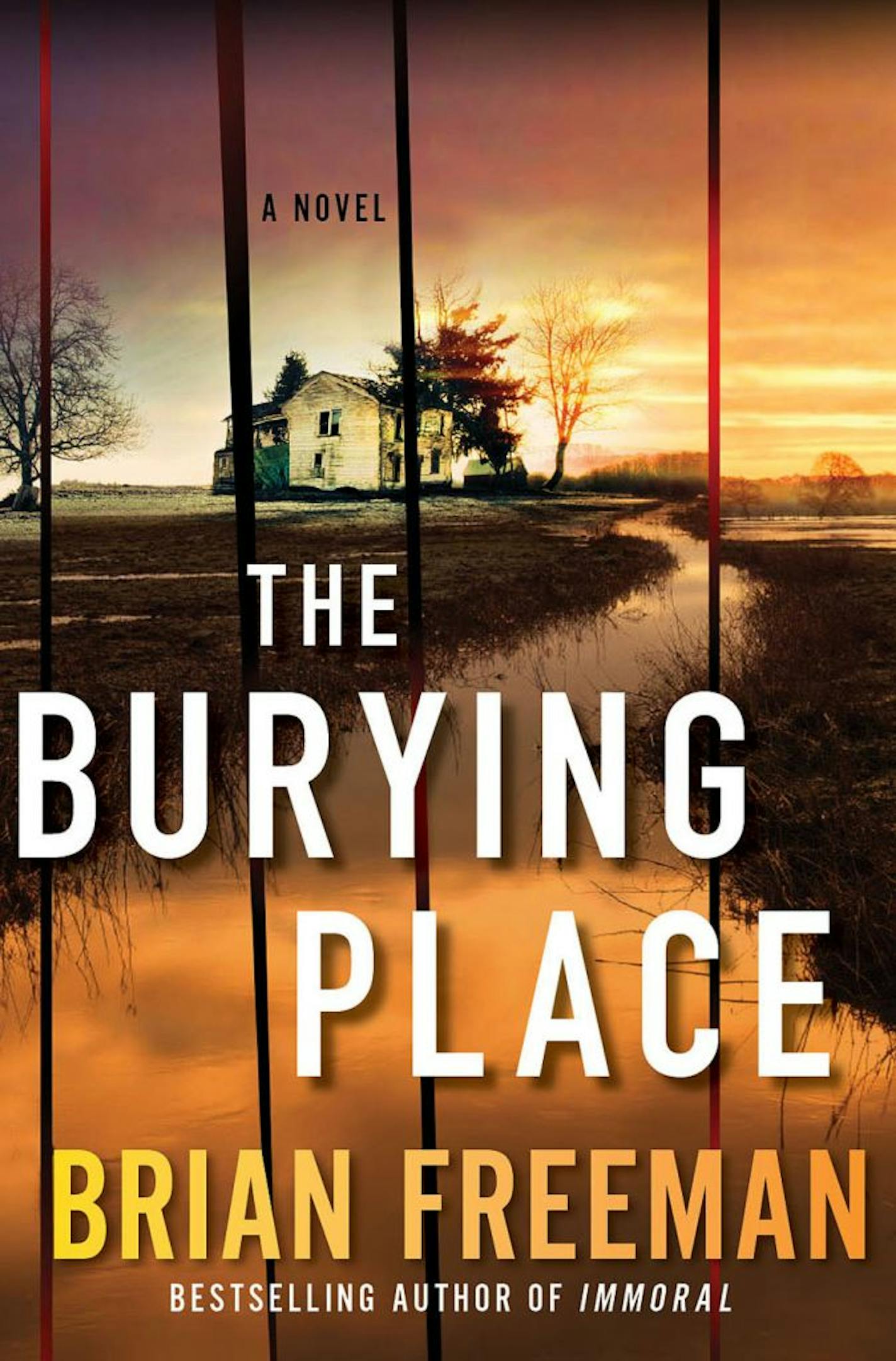 The Burying Place by Brian Freeman