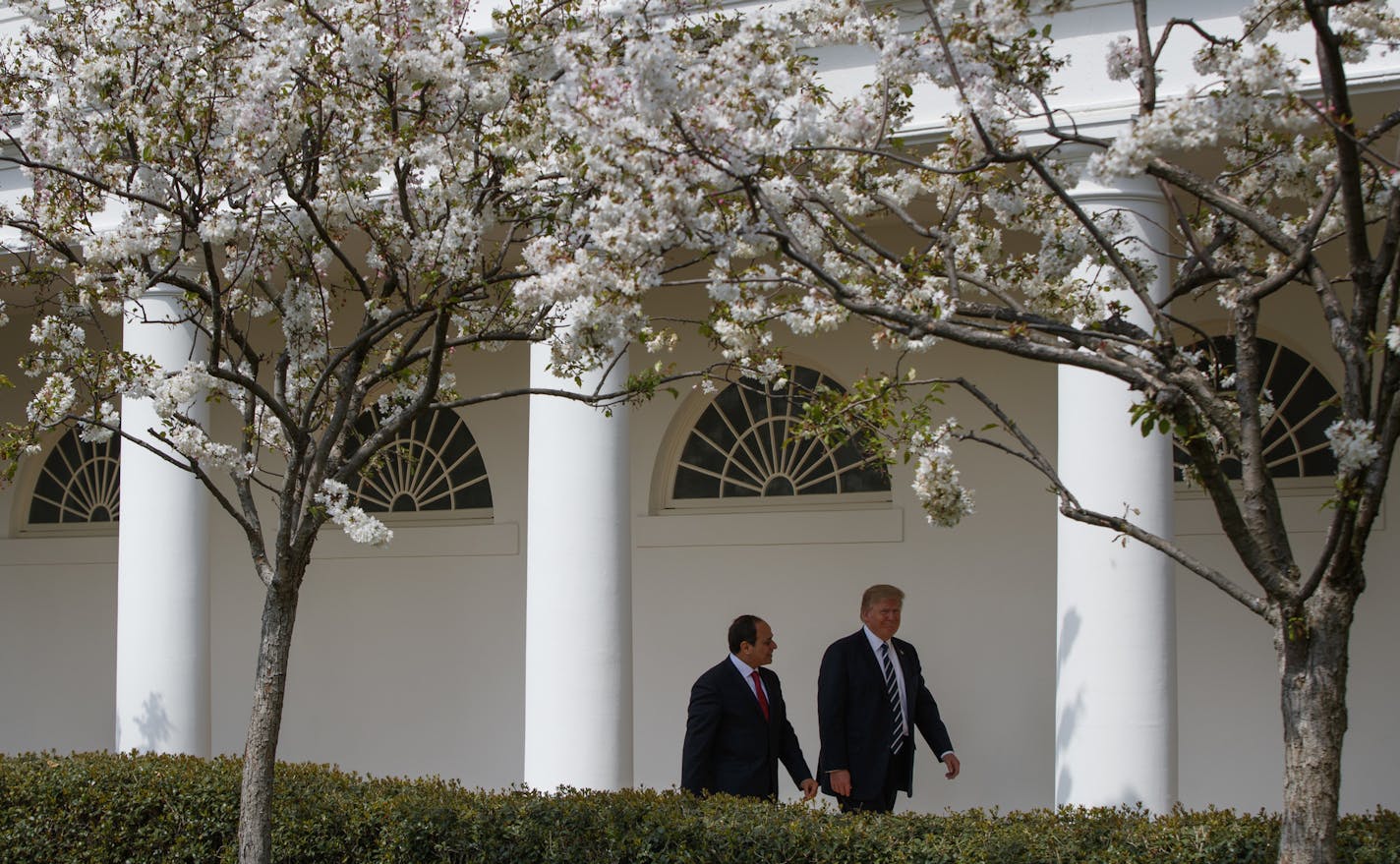 President Donald Trump walks with Egyptian President Abdel Fattah al-Sisi at the White House in Washington, Monday, April 3, 2017. (AP Photo/Evan Vucci)