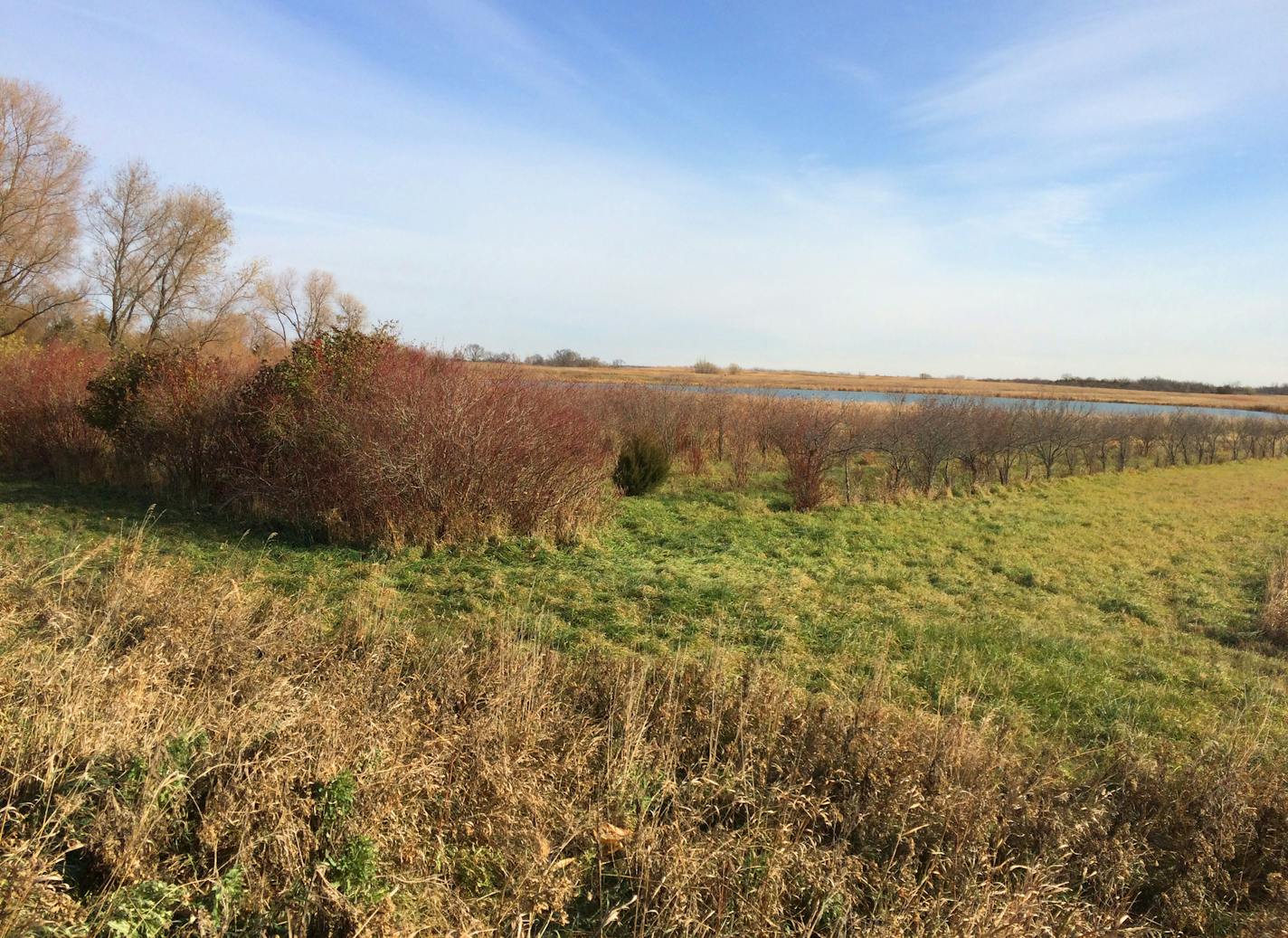 Brian Naas purchased the property from a trust arranged by the Minnesota Waterfowl Association intended to conserve its conservation benefits.