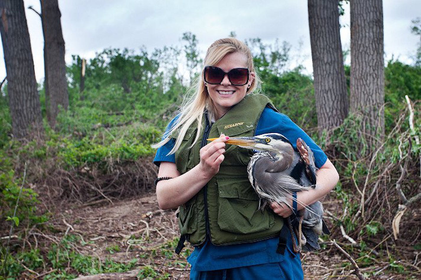 Nicole Wallace, shown with a great blue heron that she aided after a tornado devastated the rookery on the Mississippi River, in Minneapolis.