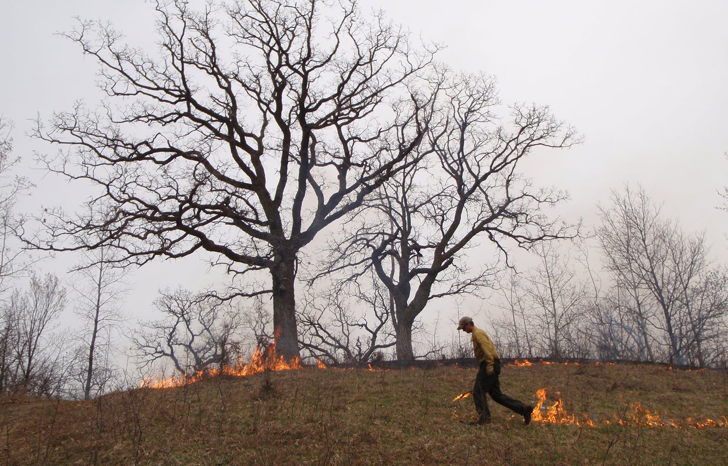 Prescribed burn. Photo from City of Burnsville