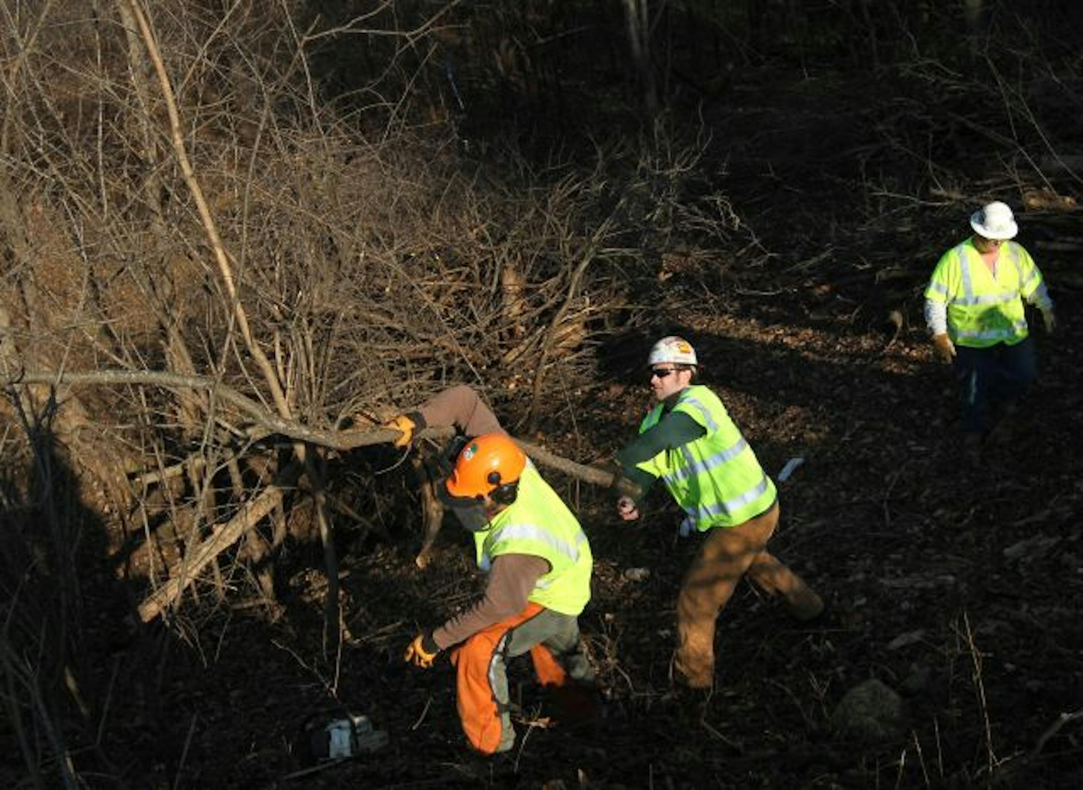 Crew members Edward Cullen, Jason Kirk, and Mike Poetsch cleared brush and trees from a ravine area this week, so that work on a 16-inch gas pipeline from Rockford to Cocoran can begin. Crews also will move nests so owls will stay in the Park Reserve. Work will be suspended in December for the owls to nest in January.