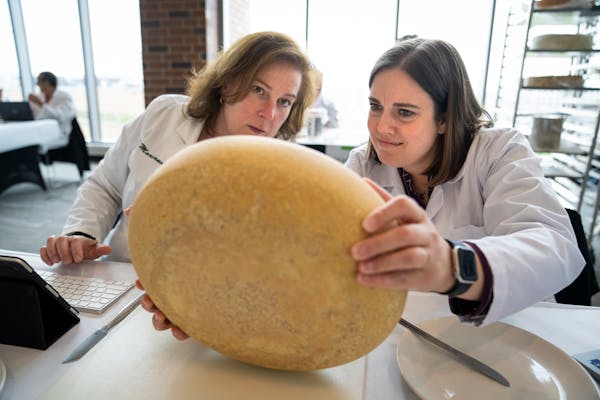 Judges Mariana Marques De Almeida, left, and Mariah Ballard look at a cheese in the Goat's Milk Cheeses aged over 60 days category during the American