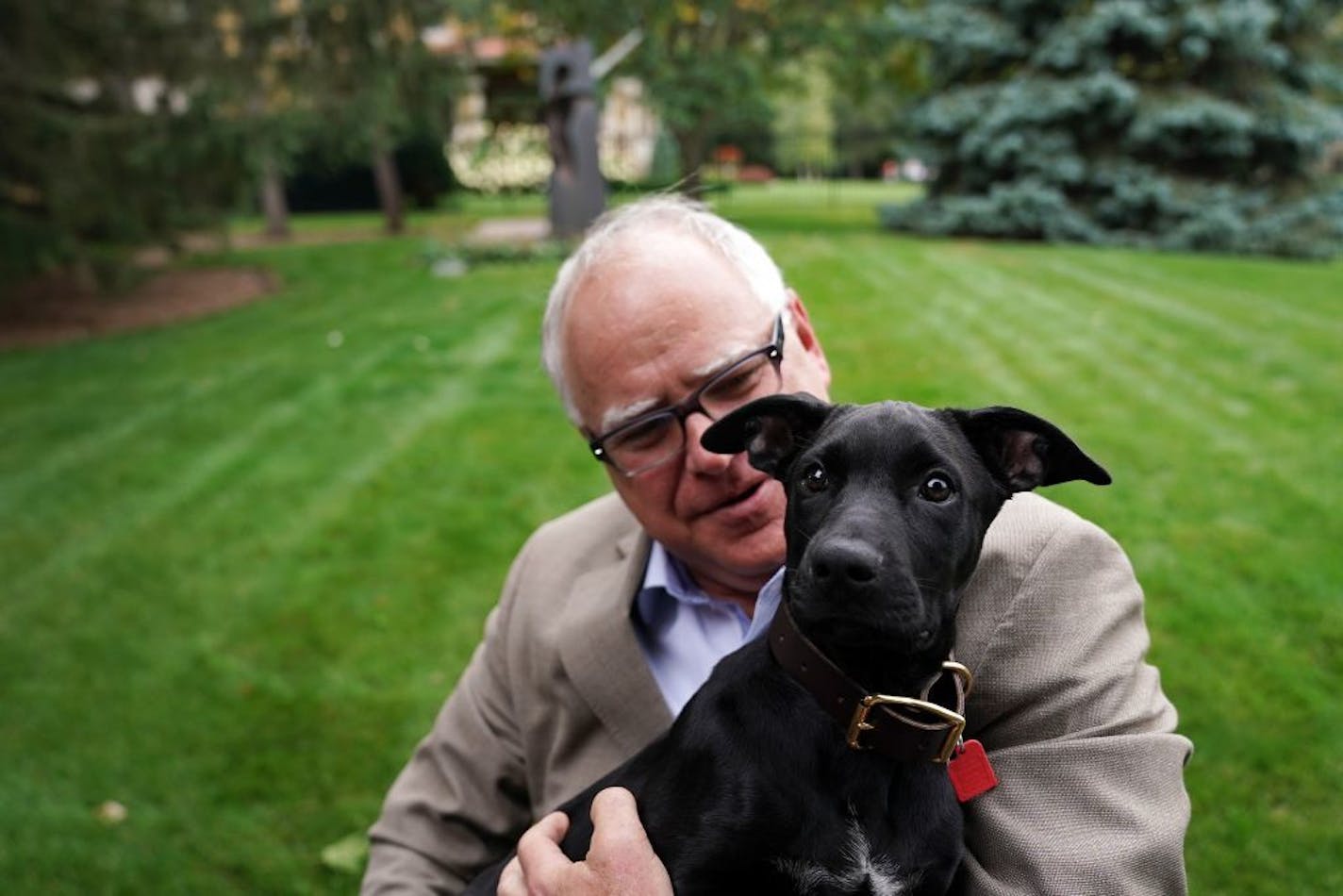 Gov. Tim Walz held Scout, a 3-month-old Labrador Retriever the Walz family adopted, during a press conference to announce the family's newest addition at the residence Thursday afternoon.