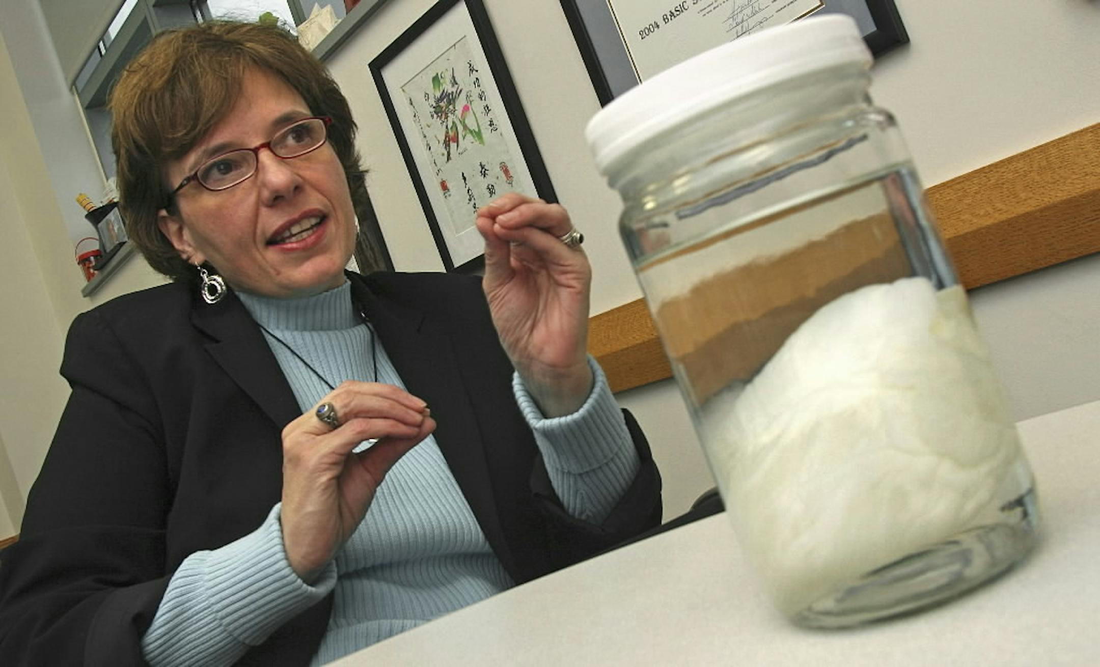 University of Minnesota Researcher Doris Taylor talked about using decellularized swine hearts in her experiments to grow a new heart.