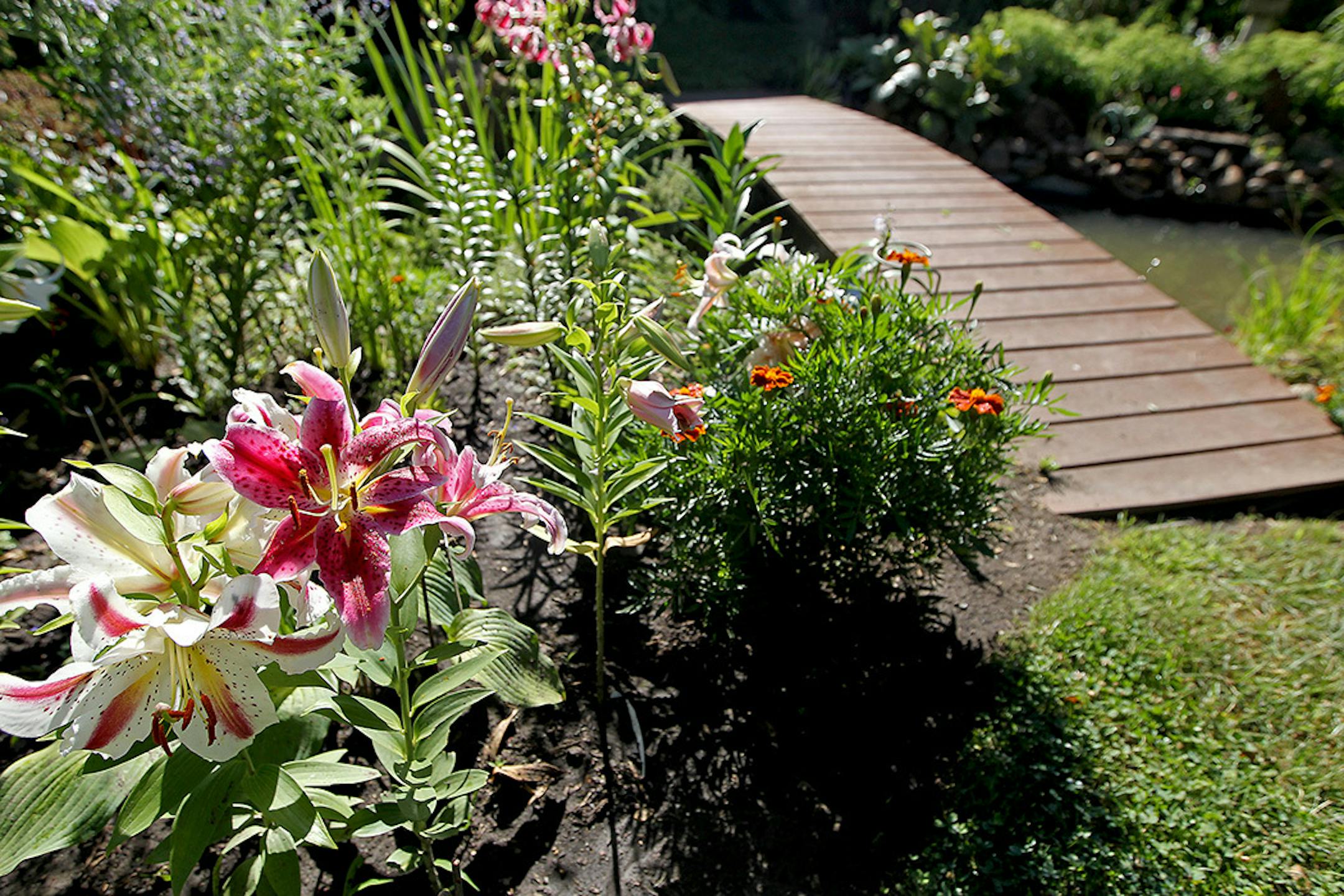 Kathy and Mike Pedersen's garden in Shakopee.