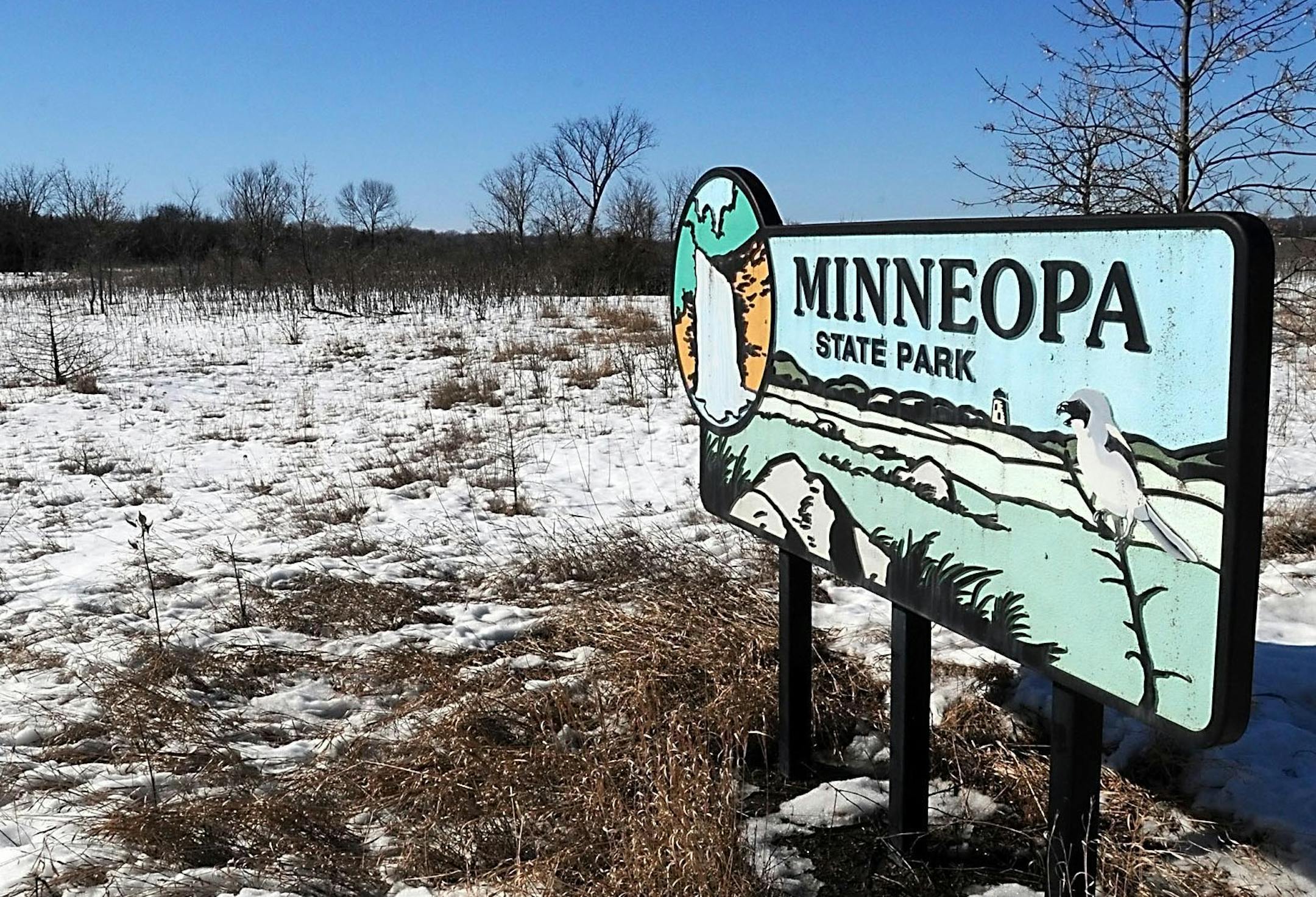 This March 13 ,2014 photo shows the large prairie area of Minneopa State Park near Mankato, Minn. Minneopa State Park's expansive prairie could become home to a bison herd if approved by the Department of Natural Resources following a public comment period. "If we get bison, it would increase our prairie management efforts (at Minneopa)," said Molly Tranel Nelson, regional resource specialist for parks and trails. "And we want to increase opportunities for visitors. It would allow visitors to ha
