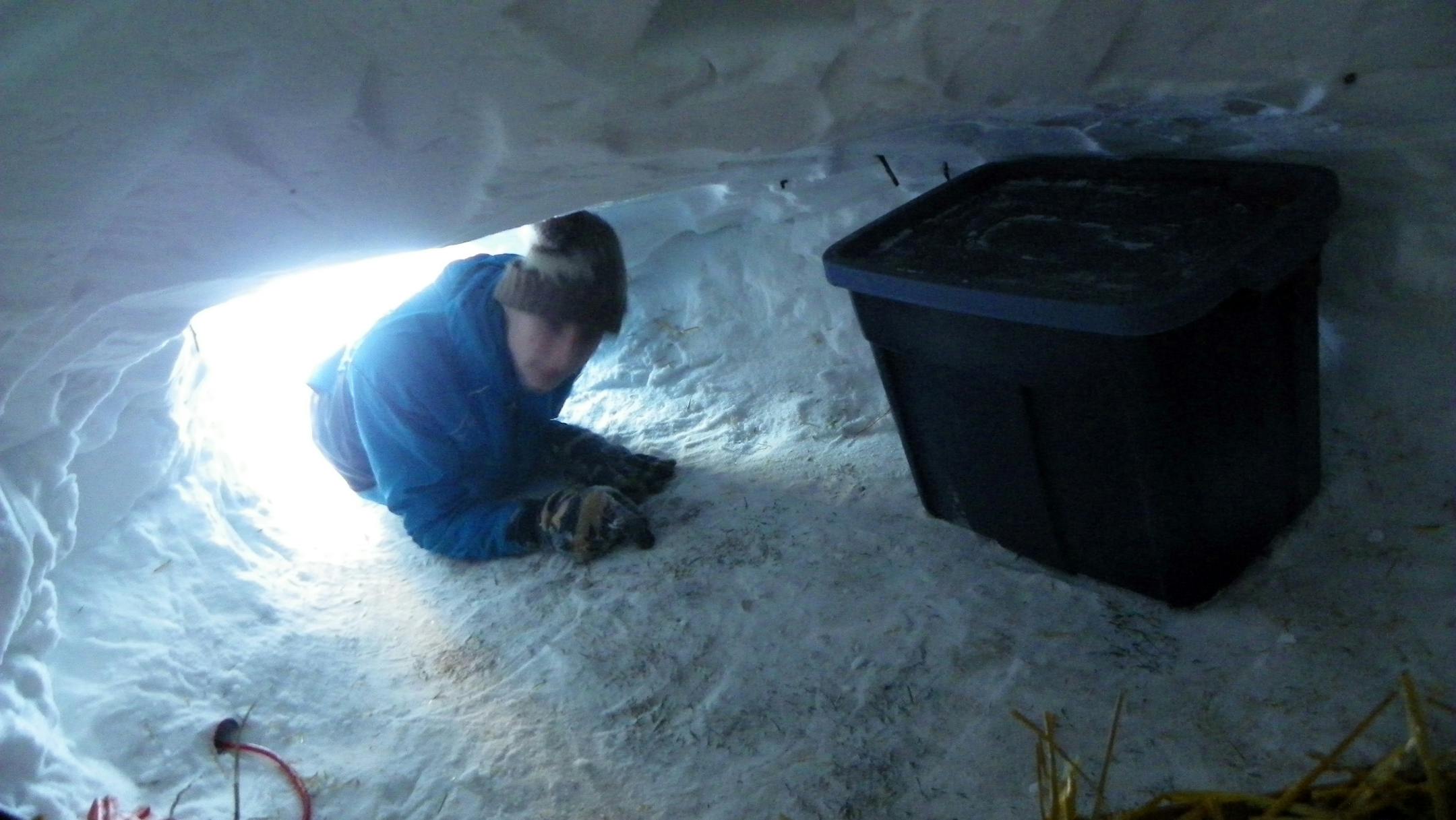 In this Jan. 4, 2014 photo provided by his father Mark Hummel, Rudy Hummel crawls into his snow cave outside his home in Hermantown, Minn. After spending 365 straight nights outside, enduring 76 subzero nights in his snow cave, Rudy, 17, was preparing Friday night, June 6, 2014, to spend one last night outside him his yard to complete his quest to spend every night sleeping outside for a full year.