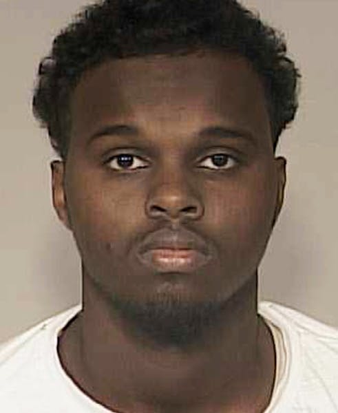 Abdirizak M. Warsame, 20, of Eagan, pleaded guilty in Minneapolis federal court to charges of supporting Muslim extremists fighting in the Middle East