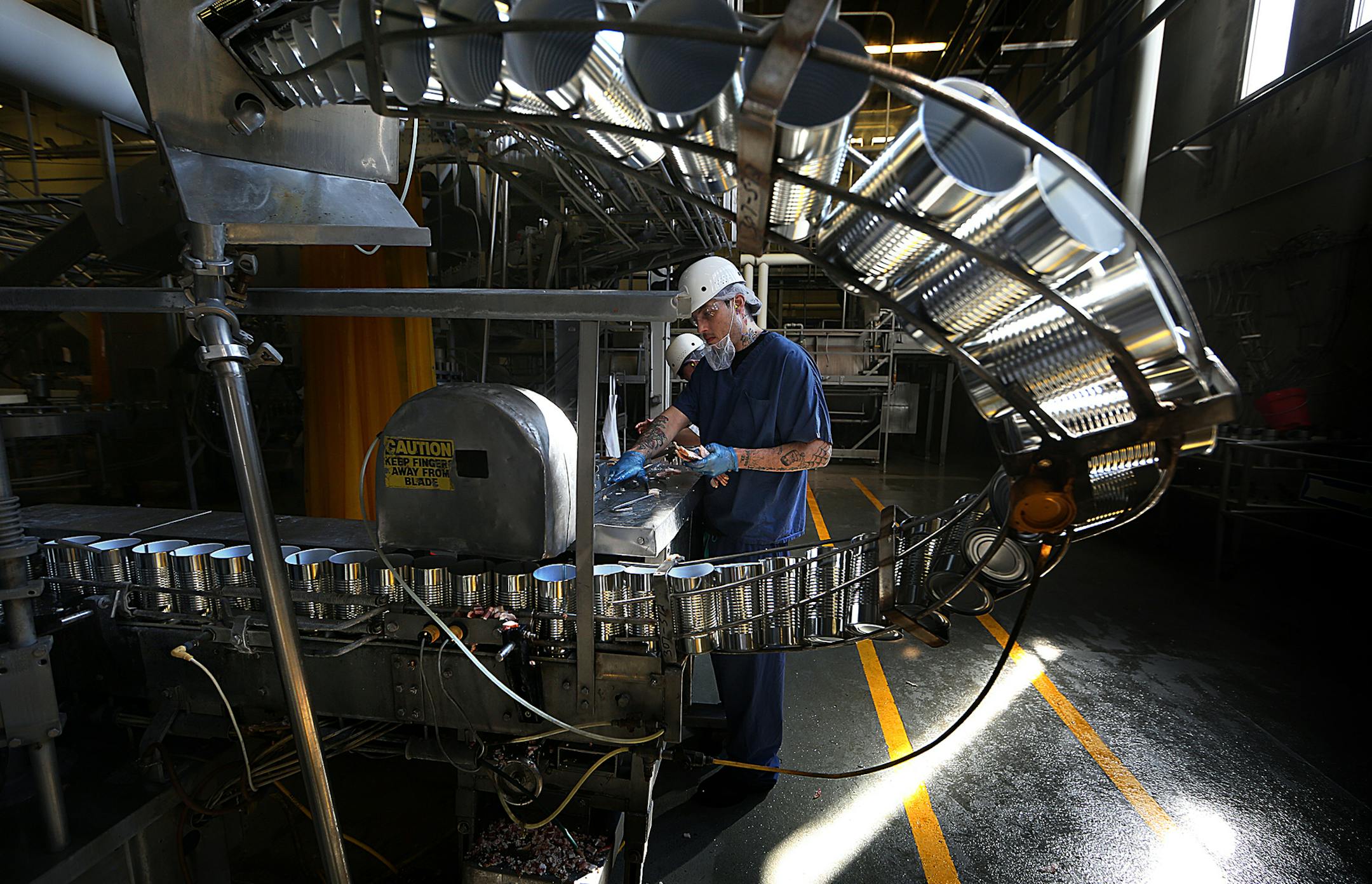 Bacon is cut by hand and placed in cans of baked beans. ] JIM GEHRZ ï james.gehrz@startribune.com / April, MN / April 6, 2016 /9:30 AM ñ BACKGROUND INFORMATION: Feature on Faribault Foods, a longtime Minnesota vegetable and dried bean canner that was purchased last year by a large Mexican packaged food company. Faribault is breaking ground this month on a $100 million expansion/renovation, a pretty big project for a mature or declining industry (vegetable canning.) Faribault does the w