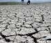 The dry bed of the Stevens Creek Reservoir is seen on Thursday, March 13, 2014, in Cupertino, Calif. Lack of seasonal rain has meant water shortages f