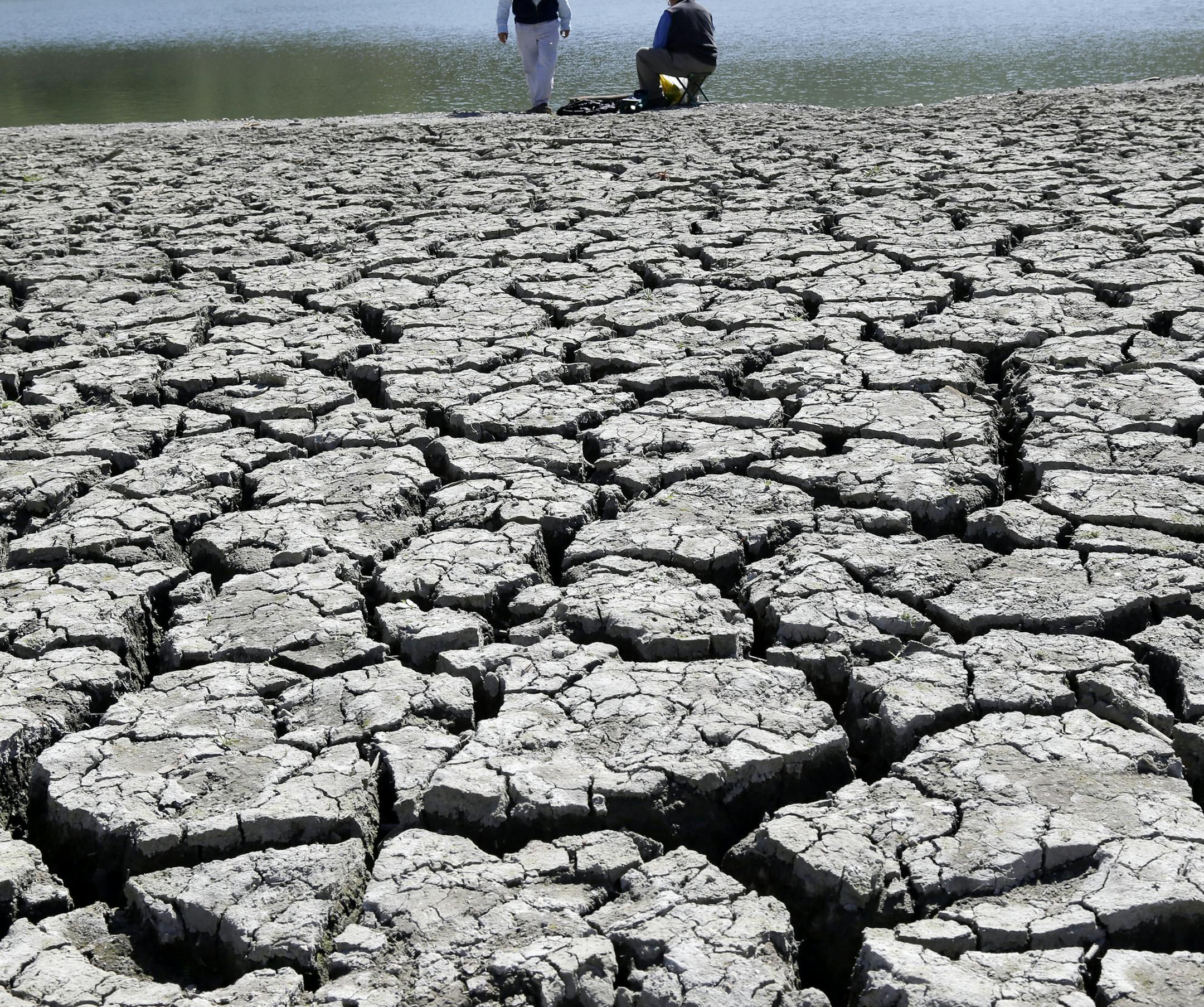 The dry bed of the Stevens Creek Reservoir is seen on Thursday, March 13, 2014, in Cupertino, Calif. Lack of seasonal rain has meant water shortages for Californians this winter. Gov. Jerry Brown has asked for a 20% reduction in water usage, farmers are forecasting an increase in produce prices and ranchers are being forced to sell cattle at auction at a higher rate. (AP Photo/Marcio Jose Sanchez)