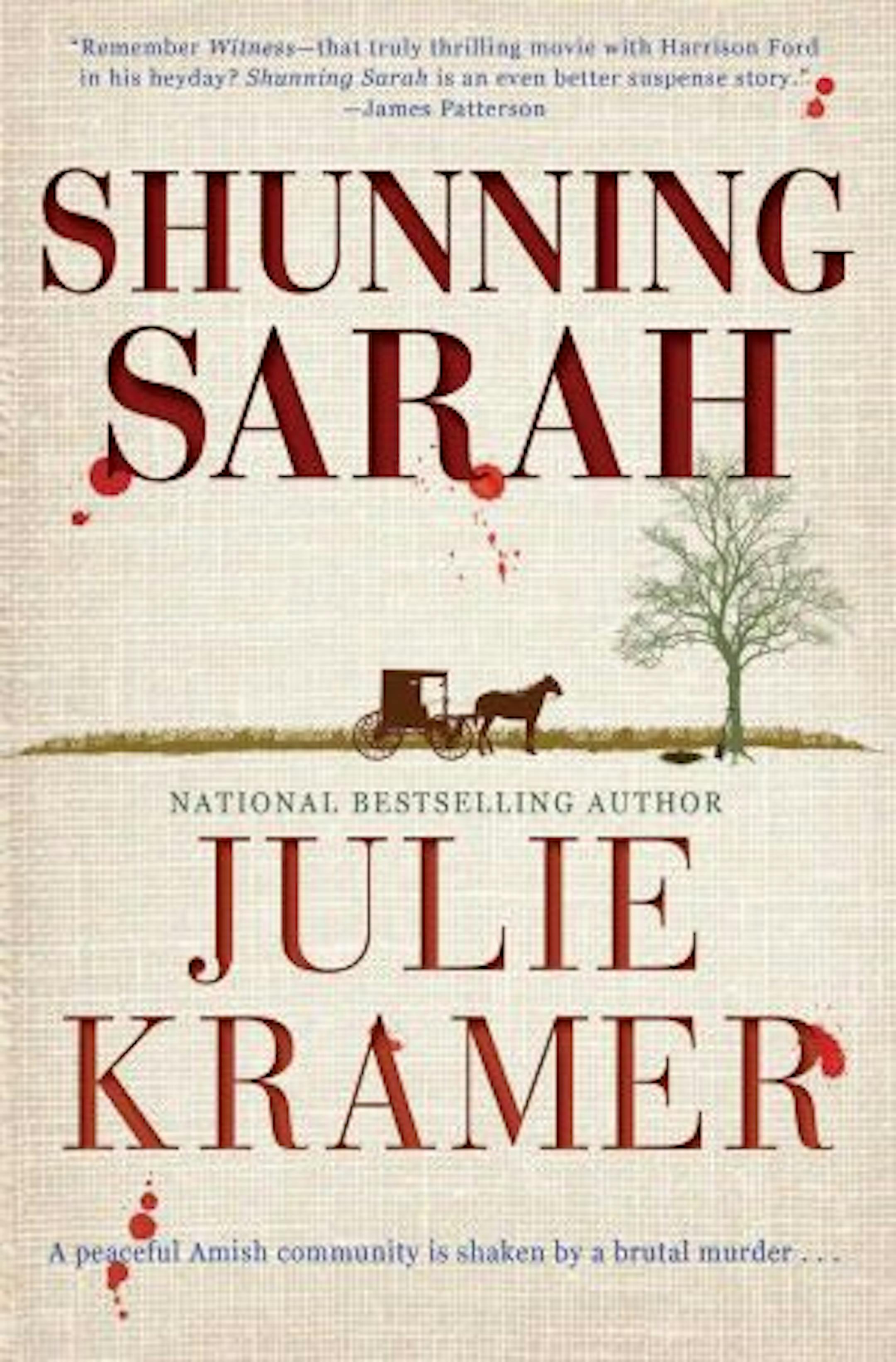SHUNNING SARAH By: Julie Kramer.
