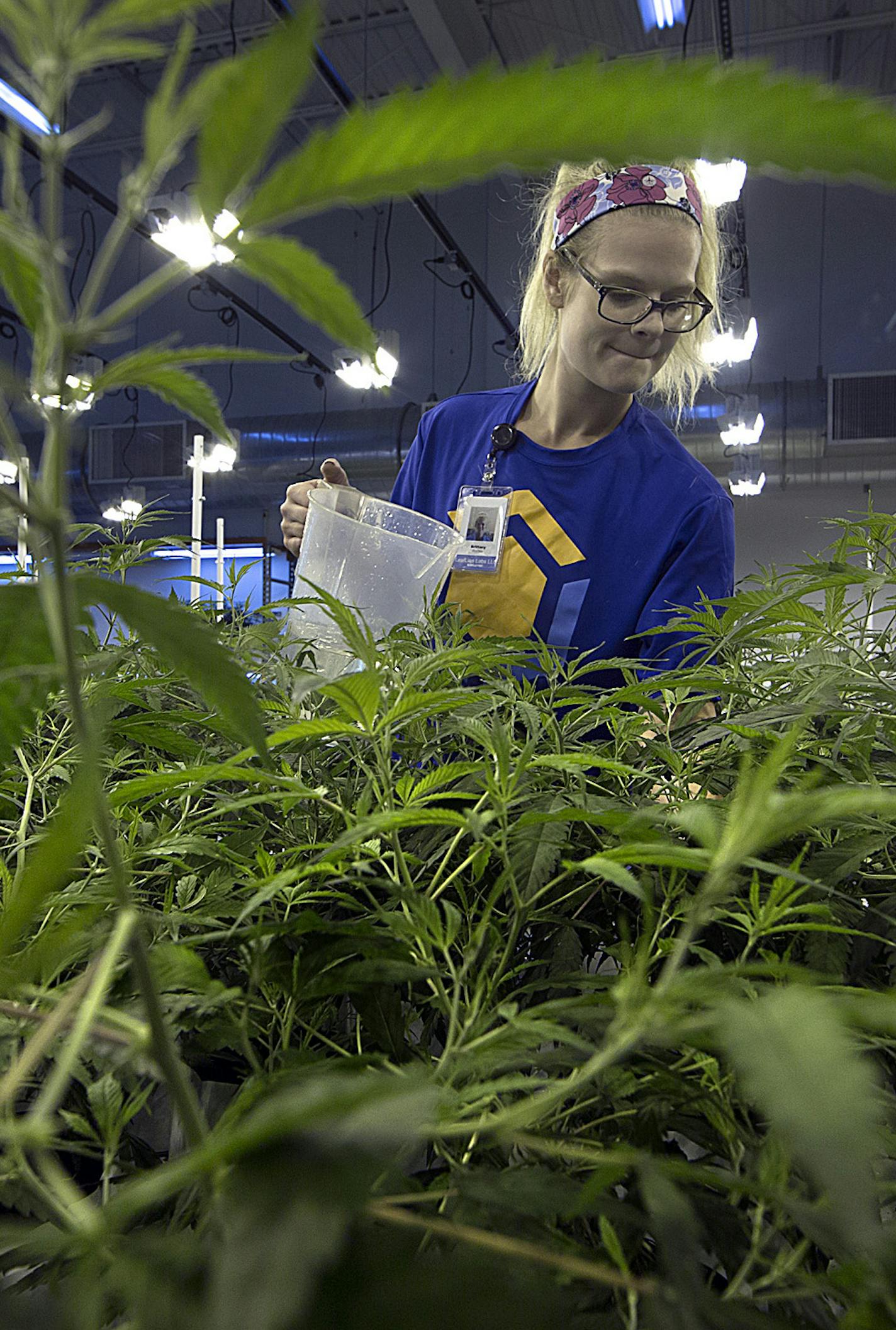 Brittany Rootes, a horticultural technician at LeafLine Labs in Cottage Grove, watered marijuana plants in the propagation room. ] JIM GEHRZ &#xef; james.gehrz@startribune.com / Cottage Grove, MN / October 2, 2015 / 3:00 PM &#xf1; BACKGROUND INFORMATION: Will Minnesota be the first state to fail to turn a profit from pot? The cannabis industry is off to a shaky start. The state has two companies that have sunk millions into marijuana greenhouses, refining facilities and high-end storefronts all