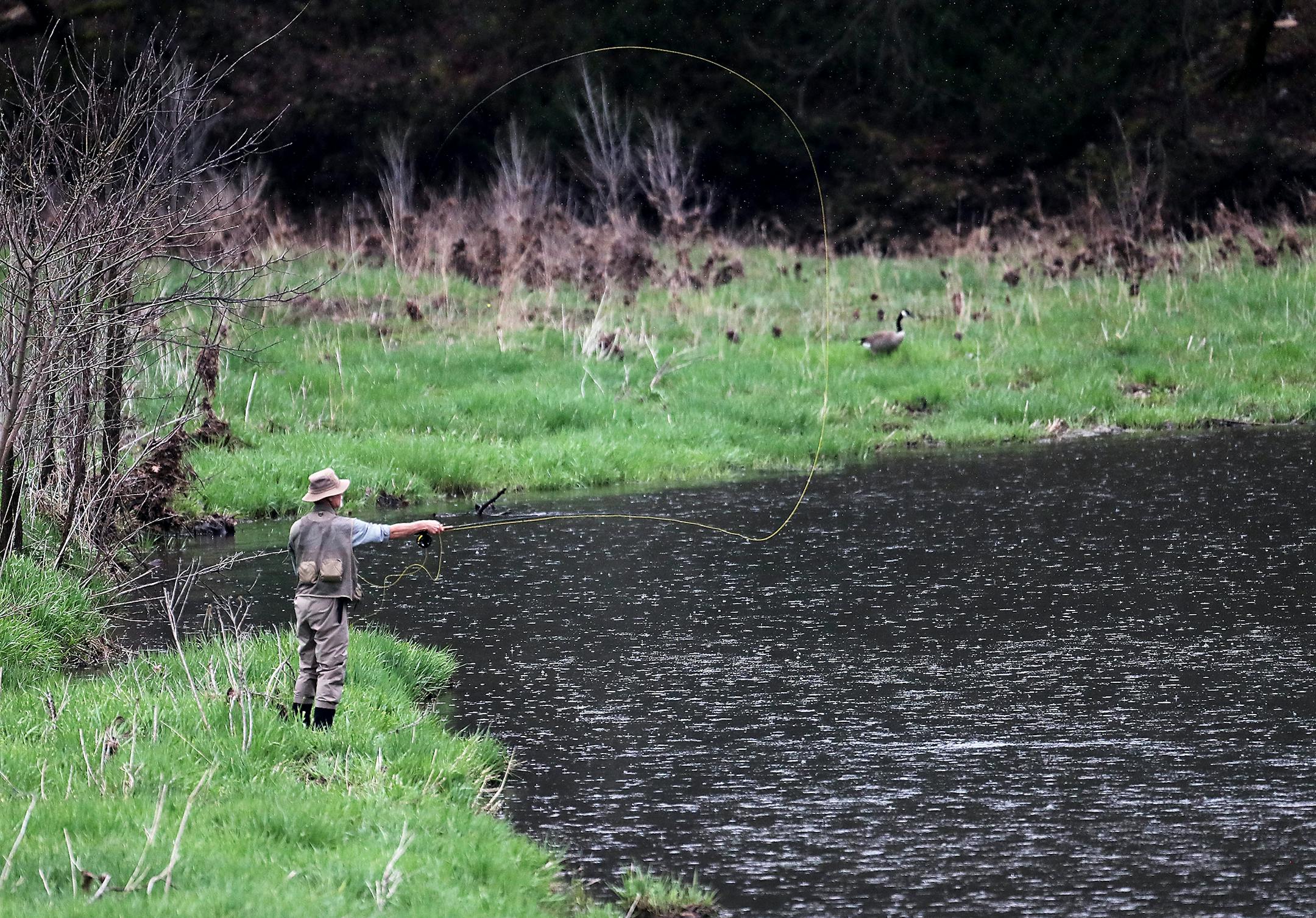 A fly fisher casts his line in the waters of the South Branch of the Root River in Forestville/Mystery State Park Saturday, April 15, 2017, in Preston, MN.]