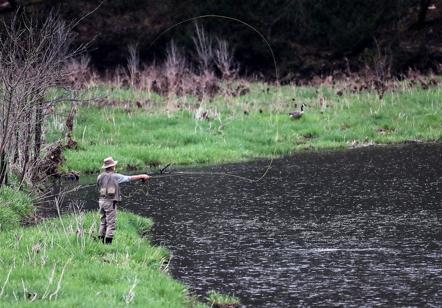 A fly fisher casts his line in the waters of the South Branch of the Root River in Forestville/Mystery State Park Saturday, April 15, 2017, in Preston, MN.]