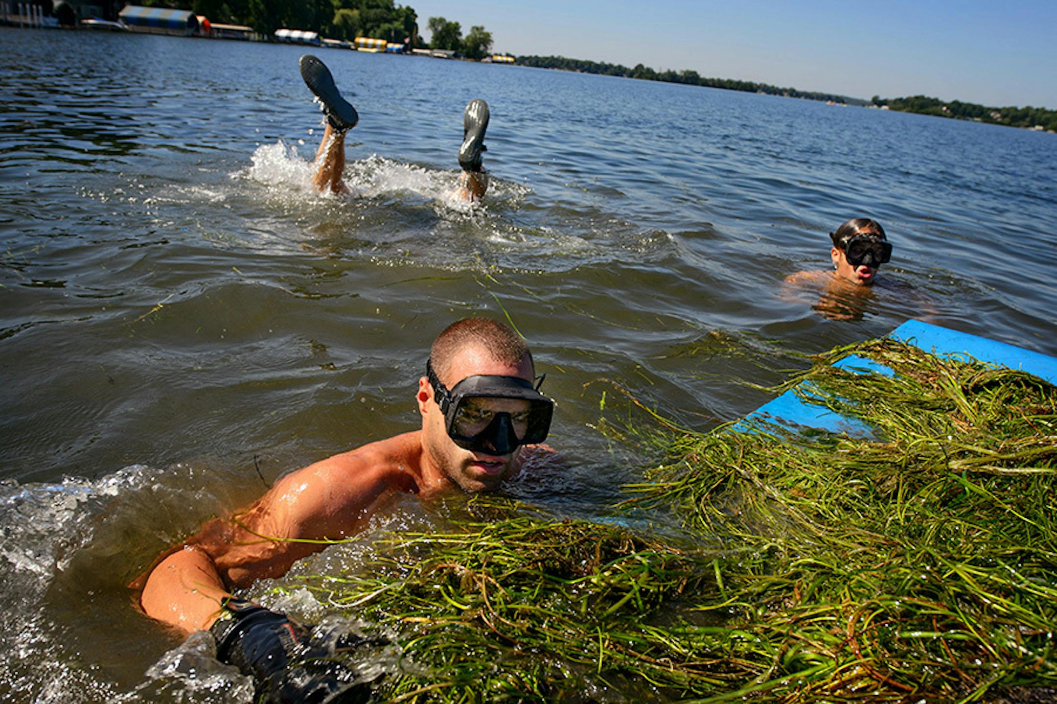 Life's A Beach Shoreline Services owner Josh Leddy and his crew cleaned lake weeds including milfoil for a customer who lives on Lake Minnetonka. They expected to pull three tons that day.
