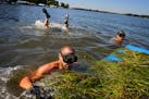 Life's A Beach Shoreline Services owner Josh Leddy and his crew cleaned lake weeds including milfoil for a customer who lives on Lake Minnetonka. They