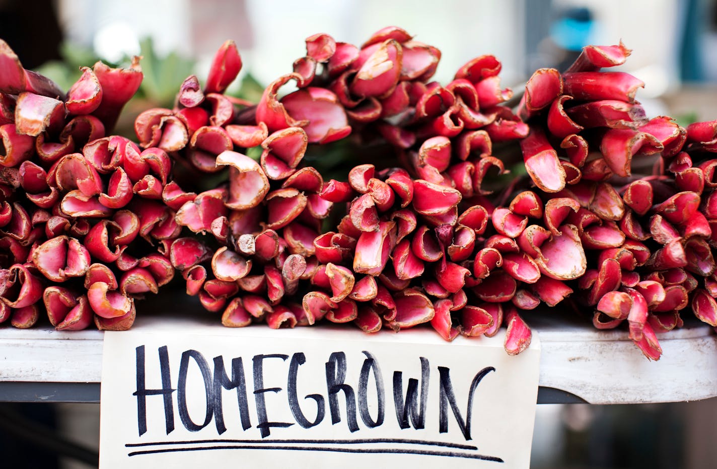 Rhubarb from Afton is piled high on tables for sale at Xang Vang's farm stall in the Minneapolis Farmers Market on Nicollet Mall June 5, 2014.