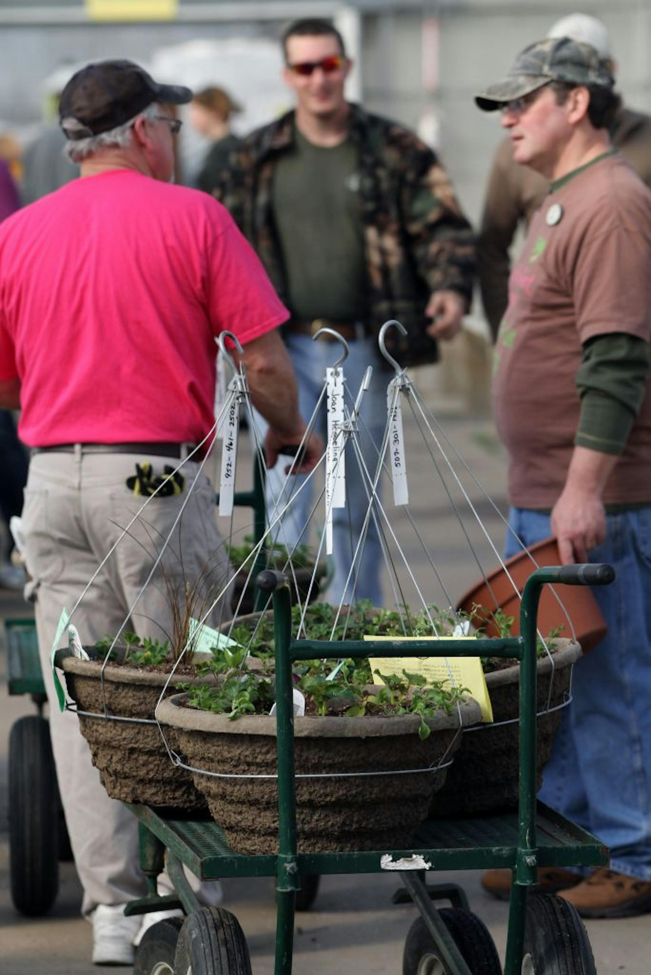Finished flowering moss baskets were ready to be placed in the green house at Pahl's Nursery during their moss basket planting days at the Apple Valley nursery. Hundreds of people attend the event each year to plant baskets that they design or use provided designs and leave the baskets at Pahl's who will nurture them until Mothers Day when they are ready to picked-up.