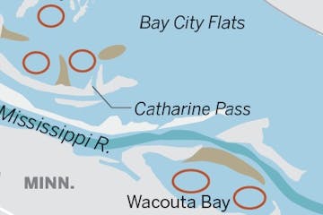 Sediment increasing in Lake Pepin