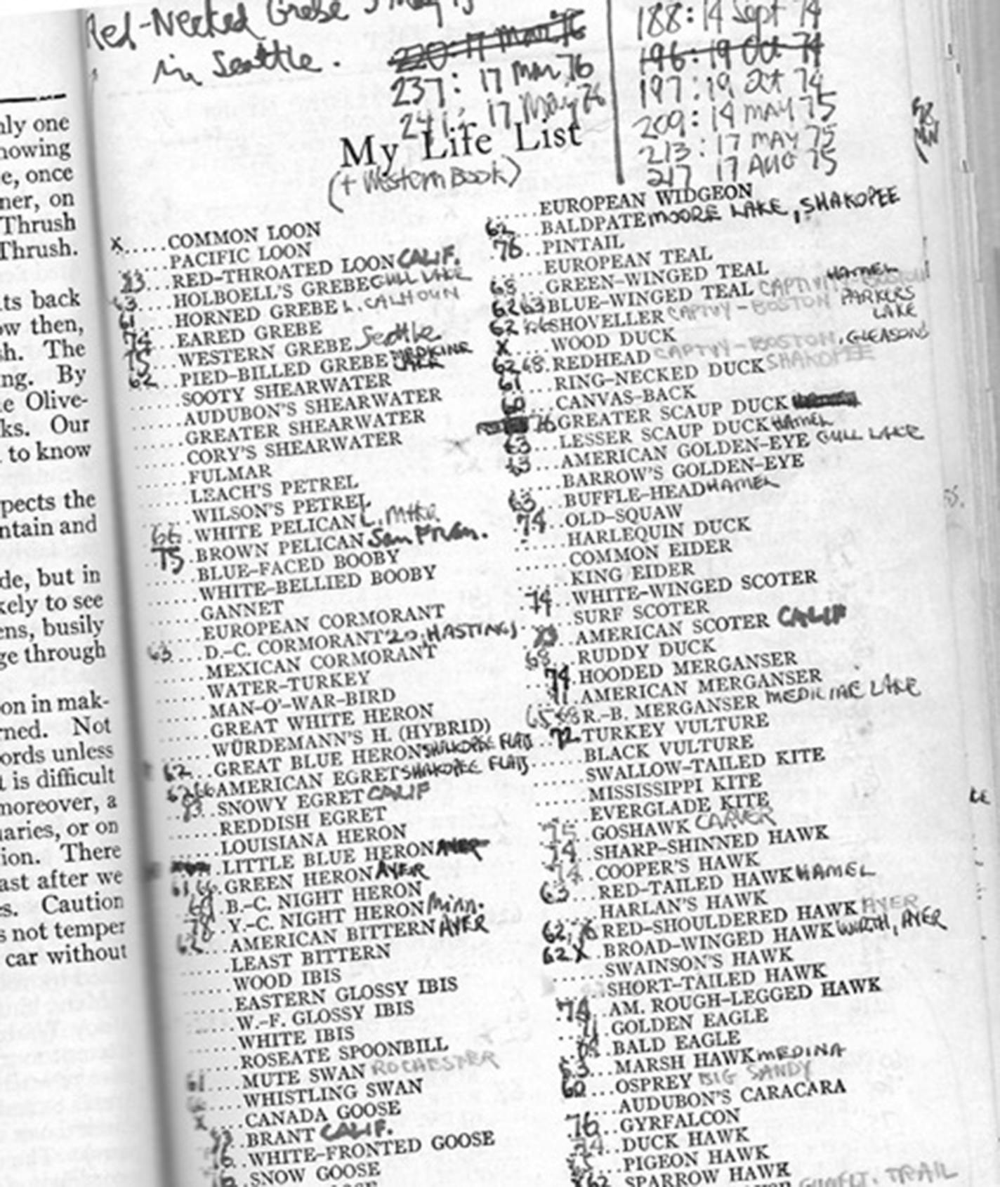 A page from the Peterson field guide to birds with notations marked throughout, including dates.