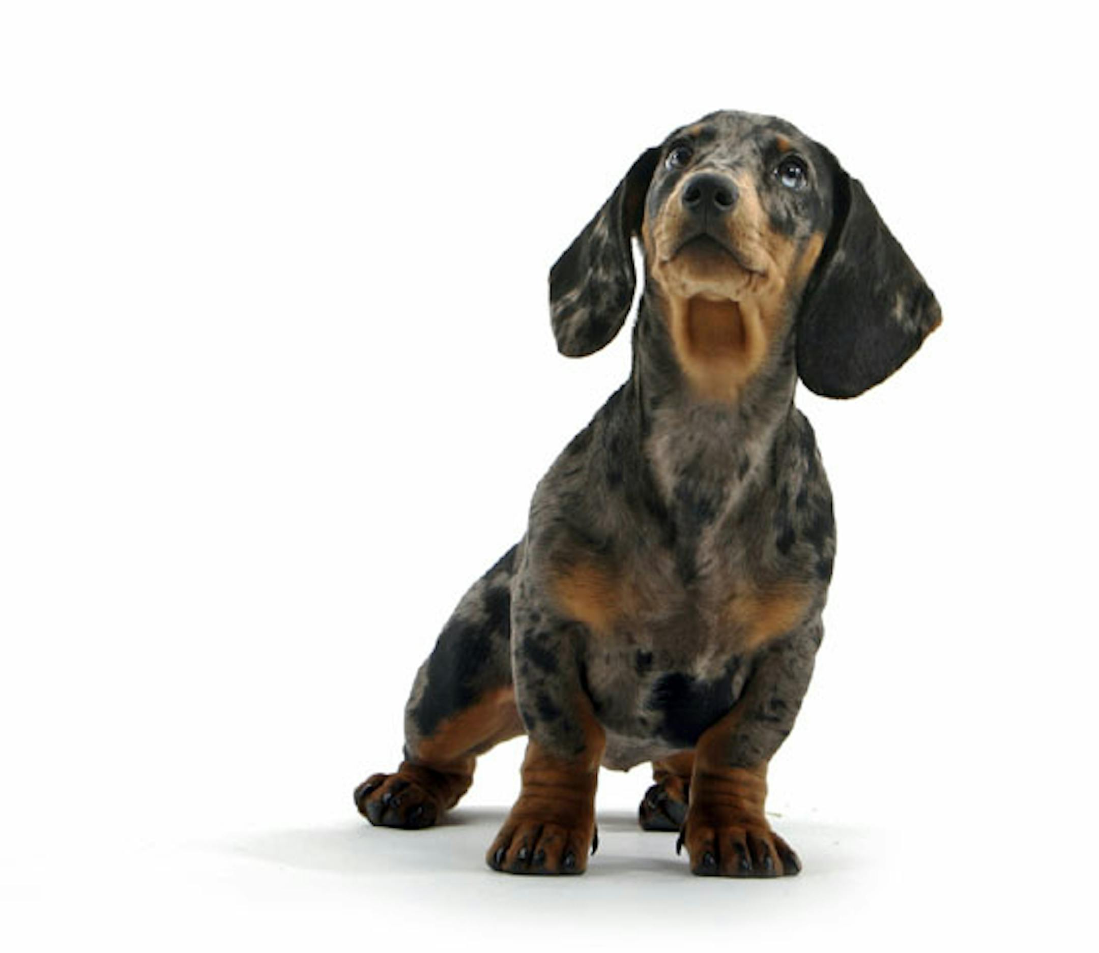 Undiagnosed health problems may be the culprit.