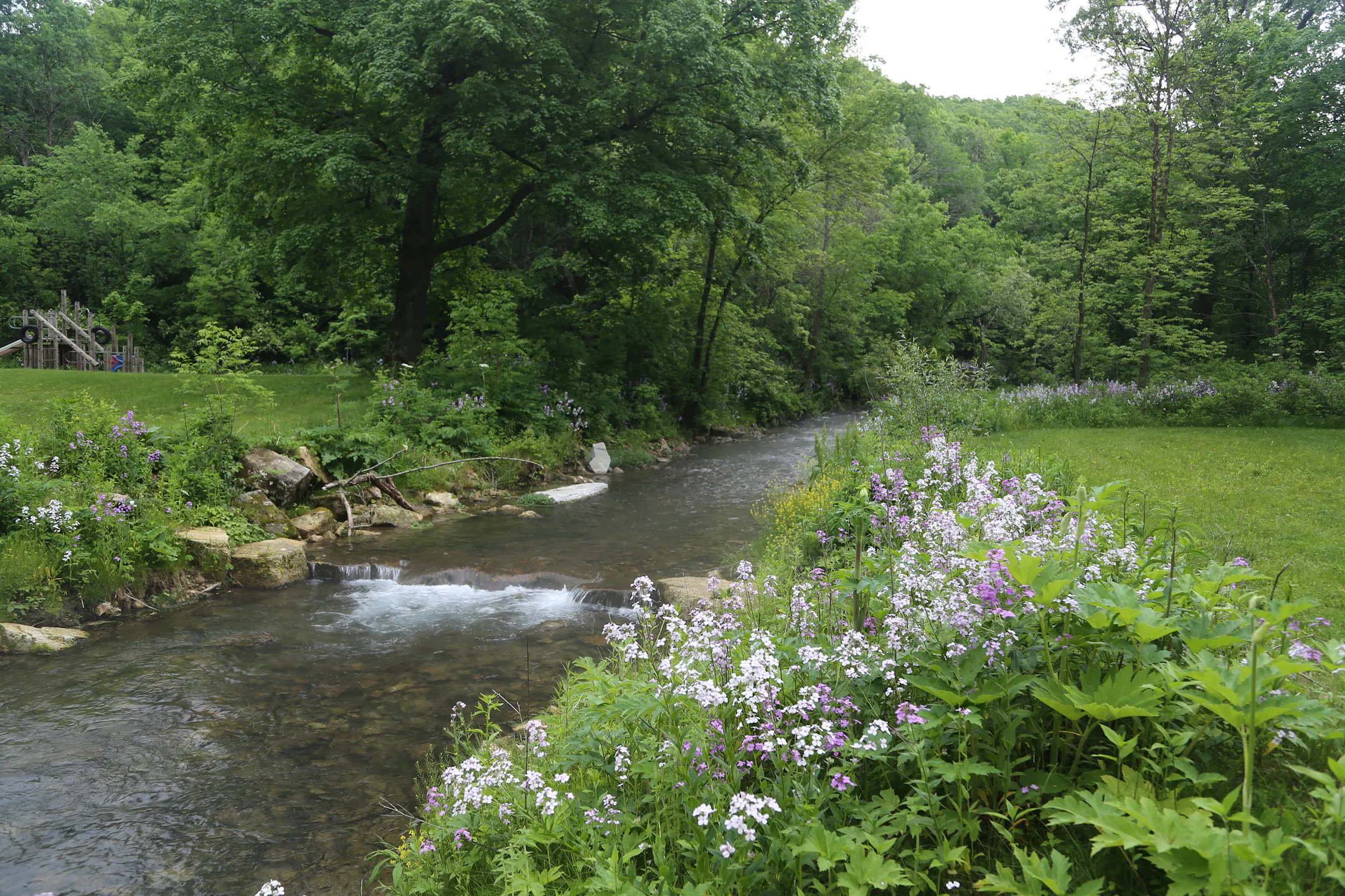 Minnesota During Spring Eight MN hikes for spring adventure
