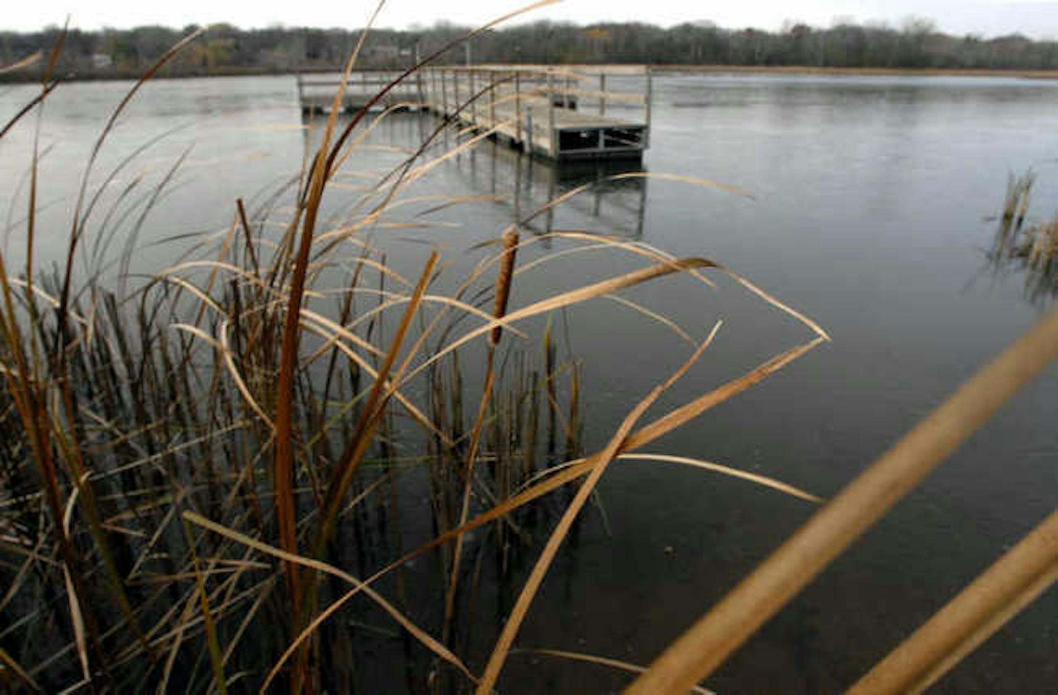 Lake Cornelia in Edina is similar to other shallow suburban lakes that take drainage from parking lots, roads and lawns.
