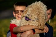Jacob Milz, 12, and his mother, Anna Milz, played with their service dog, Hazel, on Monday at their home in Mendota Heights.