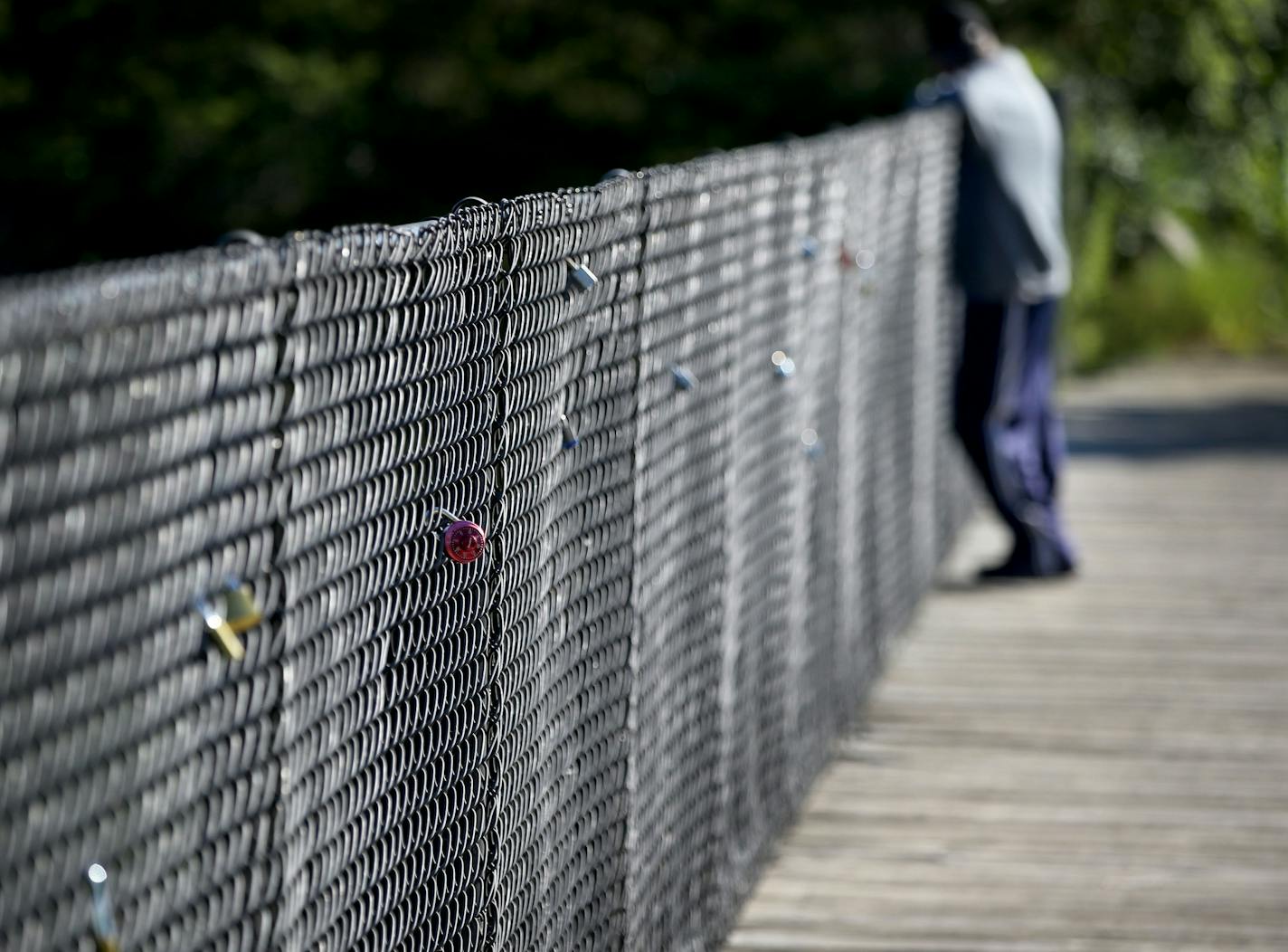 &#xec;Love locks&#xee; adorn a chain link fence over the Vermillion Gorge Bridge in Hastings and the bridge gradually grows heavier each day and was seen Tuesday, June 21, 2016, in Hastings, MN.](DAVID JOLES/STARTRIBUNE)djoles@startribune The Vermillion Gorge Bridge in Hastings is gradually grows heavier each day, weighed down by the &#xec;love locks,&#xee; that residents (mostly teenagers) have been putting there, mimicking the bridge in Paris. More than 60 locks now hang from a walking bridge