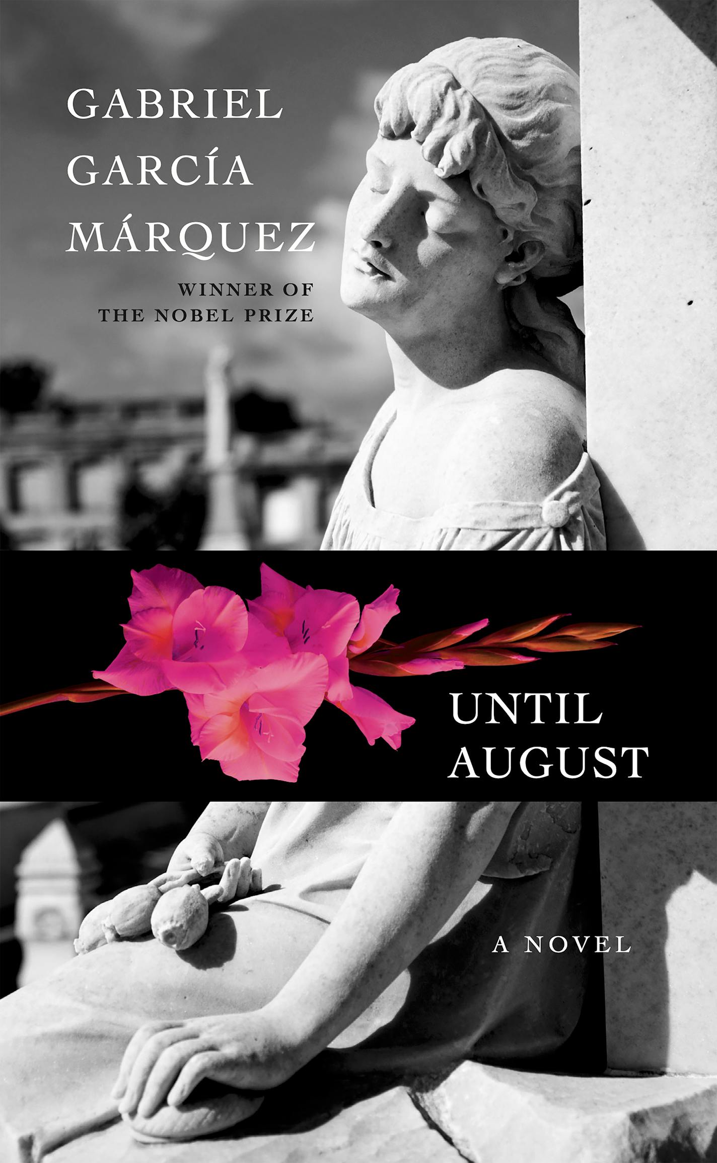 black and white cover photo of a statue on novel "Until August," with a pink flower