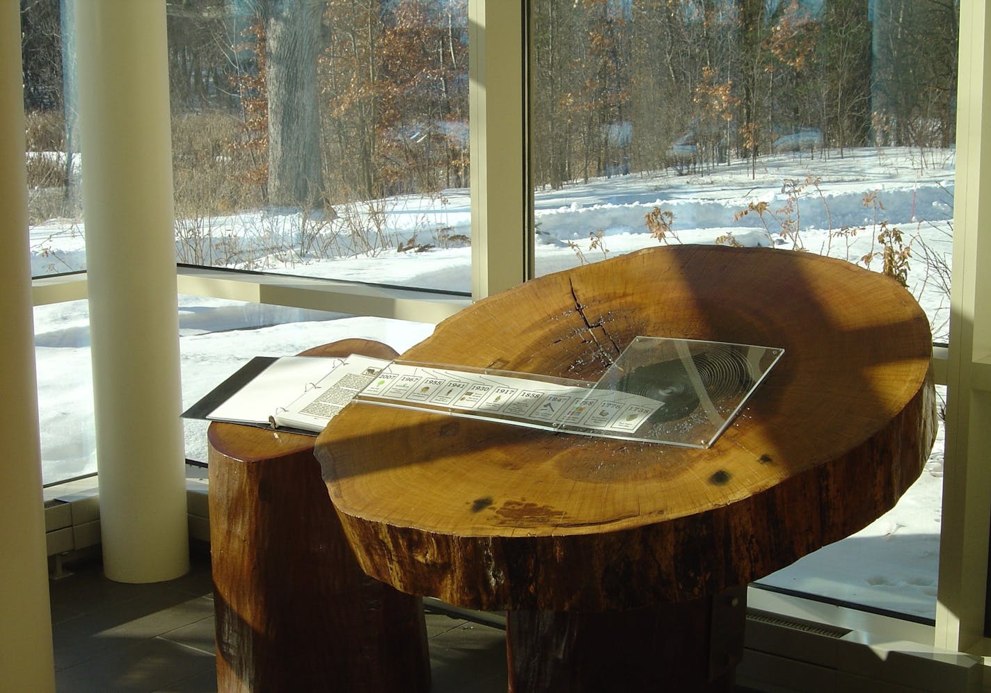 Woodbury City Hall features a burr oak section from a tree that 'saw' most of the city's history, with key events marked against the rings. It's part of the upcoming tour.