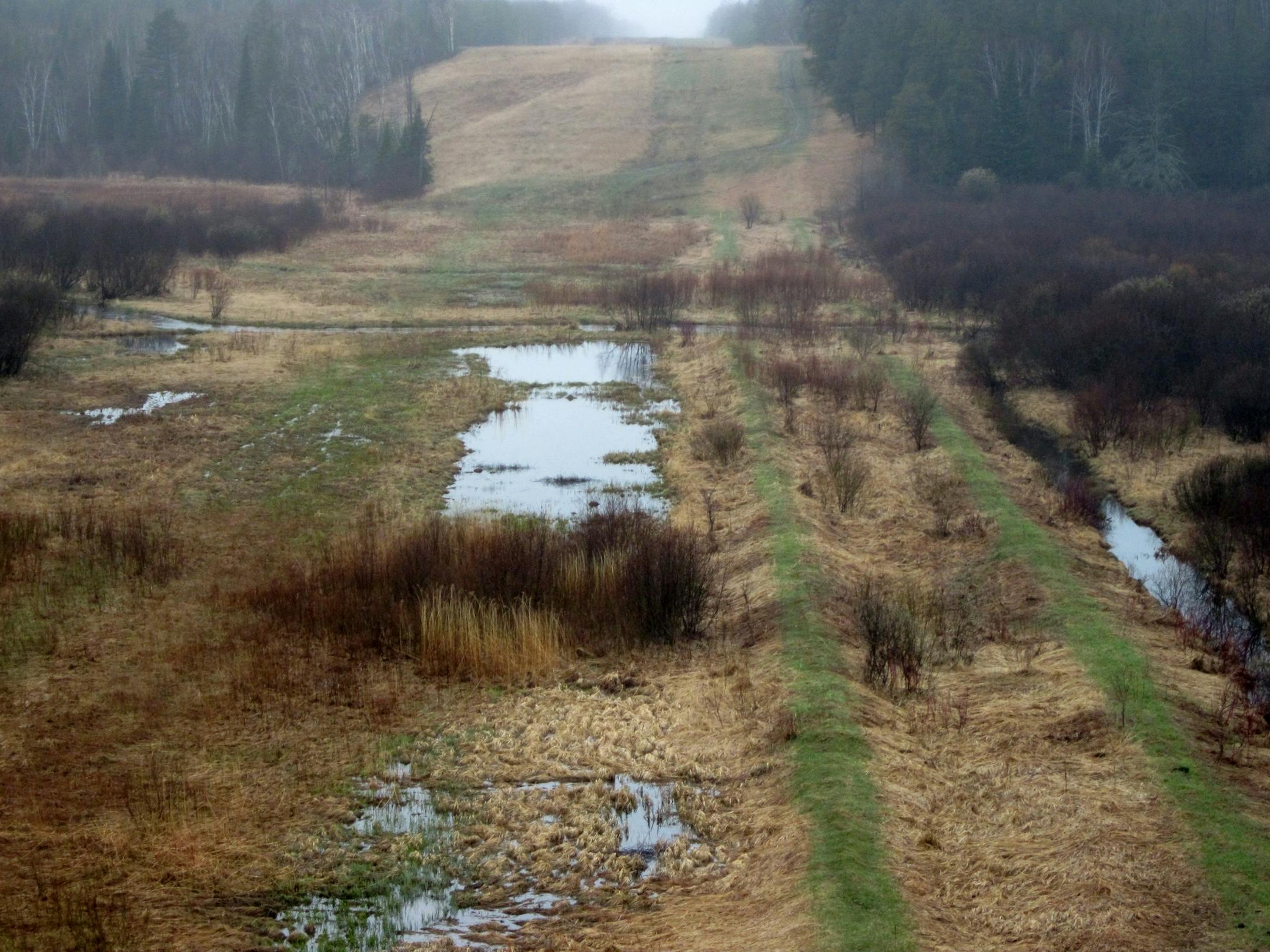 The Alberta Clipper crude oil pipeline is one of six petroleum pipelines that run on corridor in northern Minnesota. Two of the early lines at right were built in the 1950s and 1960s and are not buried as deeply. The newer, deeper Alberta Clipper line uses the same right of way. Ths photo was taken in May west of Bemidji, Minn.