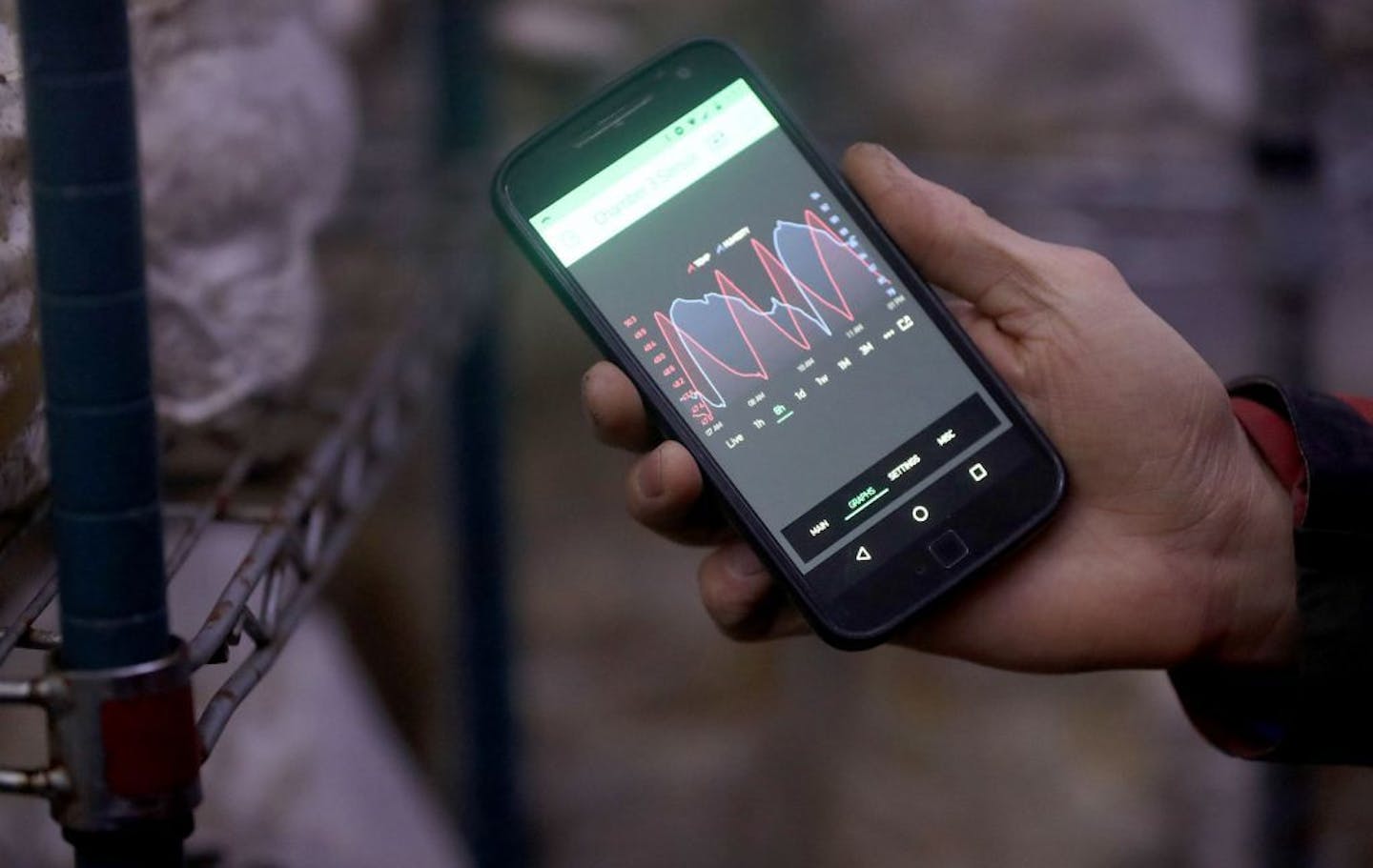 Mississippi Mushrooms president Ian Silver-Ramp can monitor the growing operation using a smart phone and seen Thursday, March 7, 2019, in Minneapolis, MN.