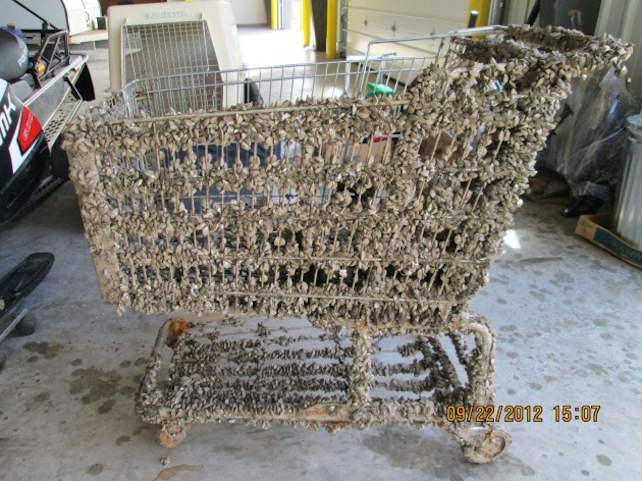 Photo courtesy of DNR