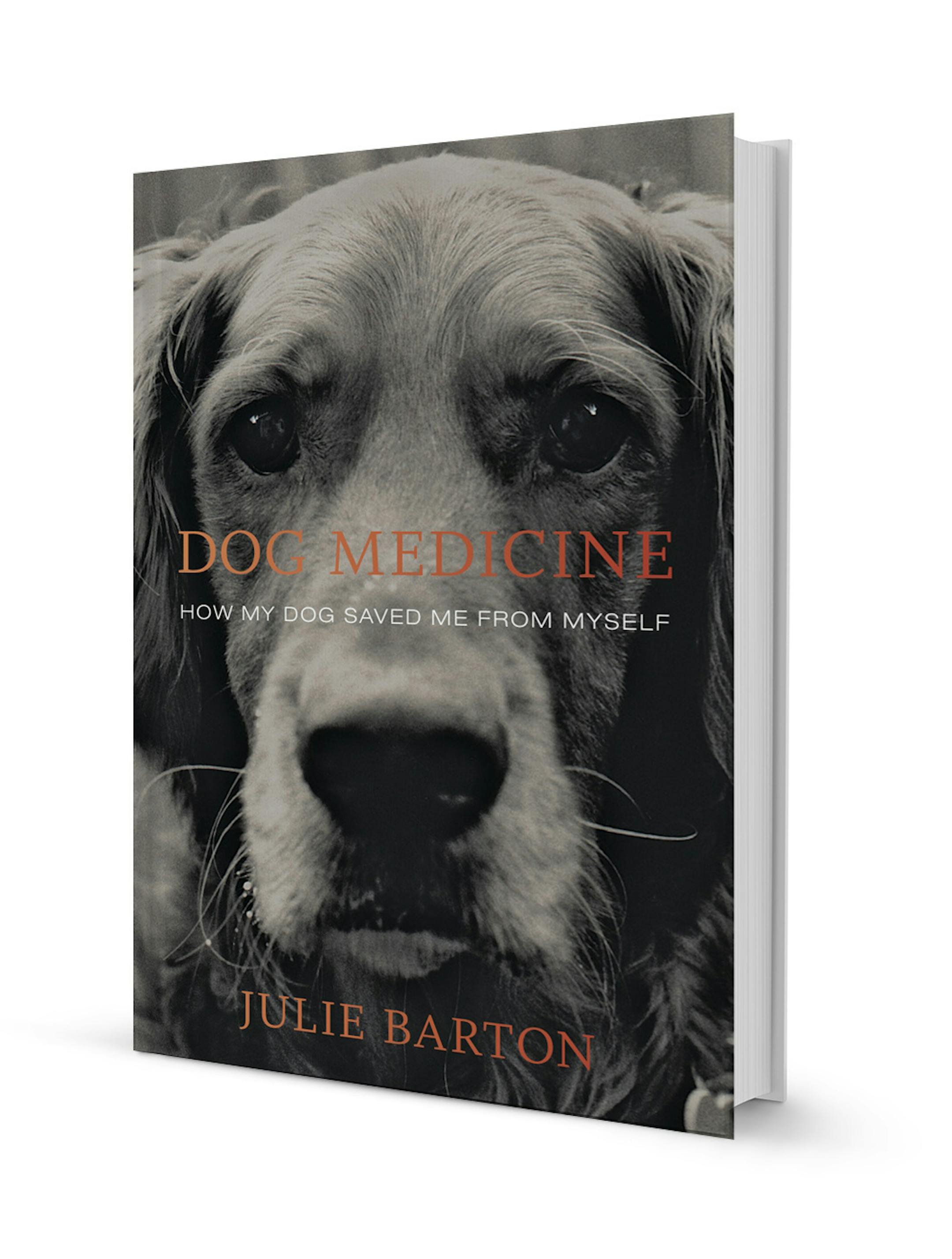 "Dog Medicine" by Julie Barton