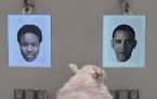 In this image taken from video, a sheep indicates recognition of former US president Barack Obama, right, displayed on a computer screen during resear