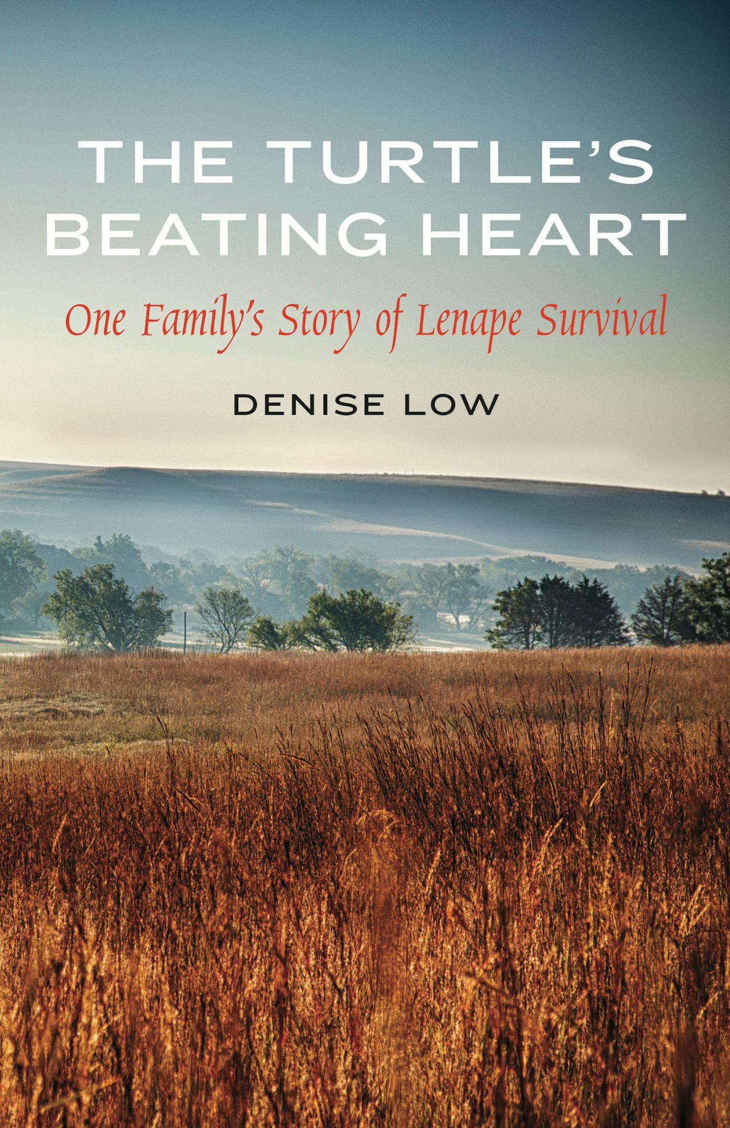 "The Turtle's Beating Heart," by Denise Low