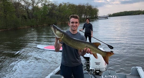 Casey Dornbach of Edina caught a 40-inch muskie on Bone Lake (Wis.) while on his paddleboard.
