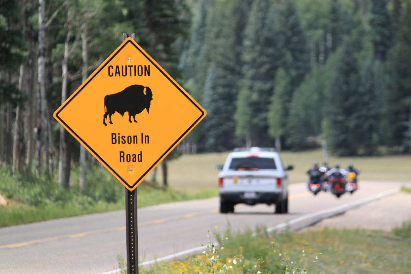 FILE - In this July 31, 2016, file photo, a park ranger and a group of motorcyclists pass a sign warning of bison within the Grand Canyon National Park in northern Arizona. The National Park Service has a plan to thin the bison population around the Grand Canyon through roundups and by seeking volunteers who are physically fit and proficient with a gun to kill the animals that increasingly are damaging park resources. (AP Photo/Susan Montoya Bryan, File)