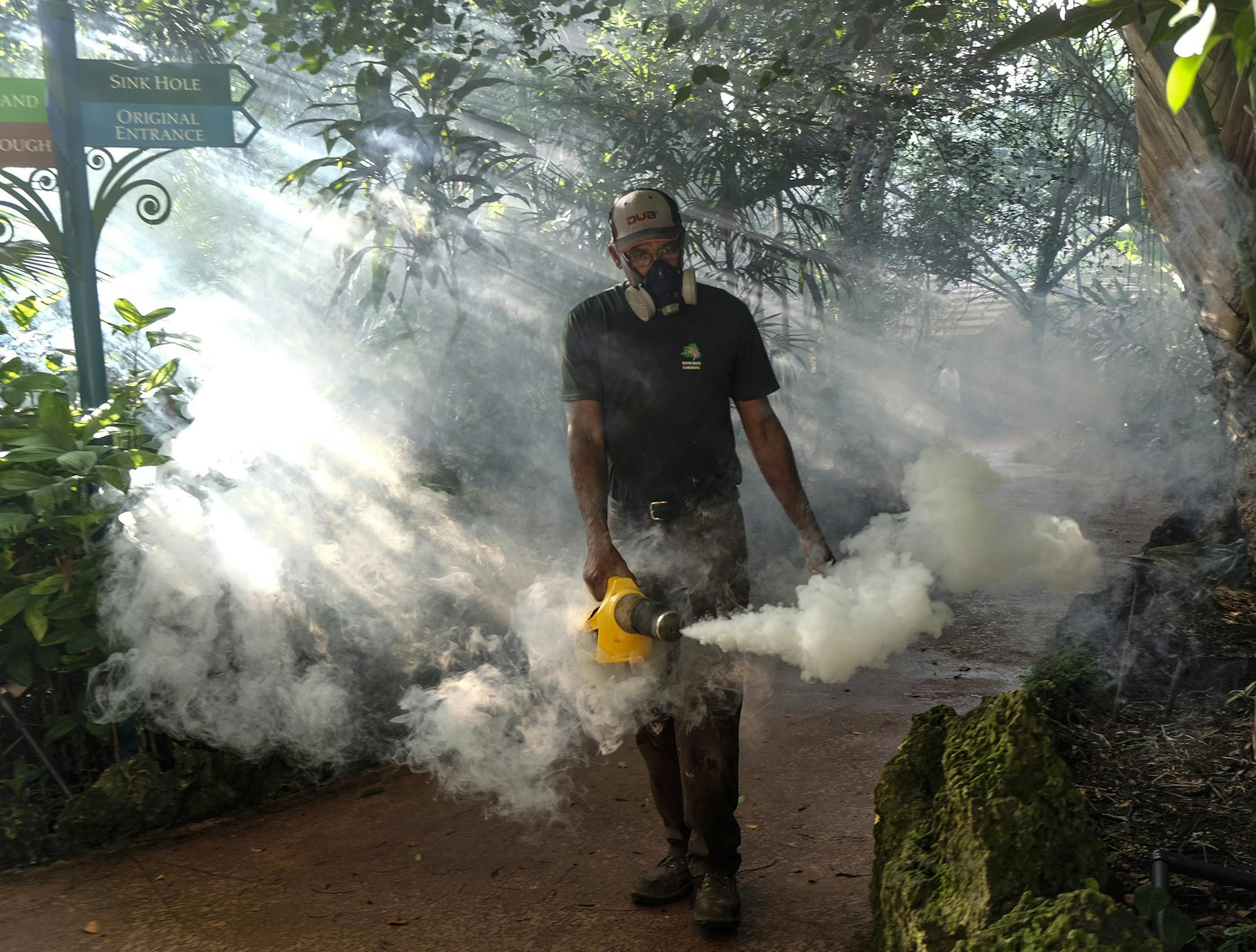 Fran Middlebrooks, a grounds keeper at Pinecrest Gardens, former home of the historic Parrot Jungle, uses a blower to spray pesticide to kill mosquitos Aug. 4, 2016 in Miami, as Miami Dade county fights to control the Zika virus outbreak. There are a reported 25 individuals who have been infected with the Zika virus in South Florida. (Gaston De Cardenas/Miami Herald/TNS)