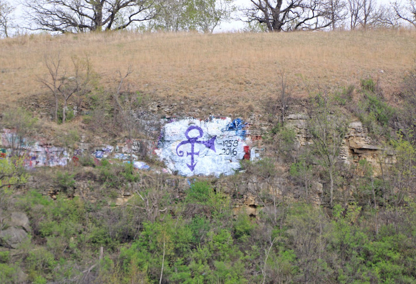 This purple Prince symbol, along with the years of his birth and death, that appeared on the bluff face shortly after the Minnesota artist&#x2019;s death last week was removed by Monday. Mandatory credit: Forum News Service photo.