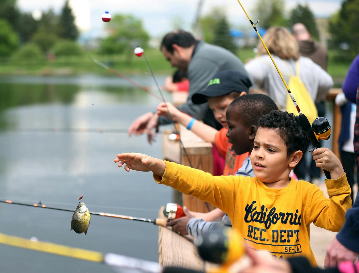 Aous Issoulaimani a third grader at School of Engineering Arts pulled in a sunfish Wolfe Lake Thursday 12, 2016 in St. Louis Park, MN.] The FiN fishing in the Neighborhood is program that's sponsored by the DNR, which introduces kids to fishing. Jerry Holt /Jerry.Holt@Startribune.com ORG XMIT: MIN1605121626217068